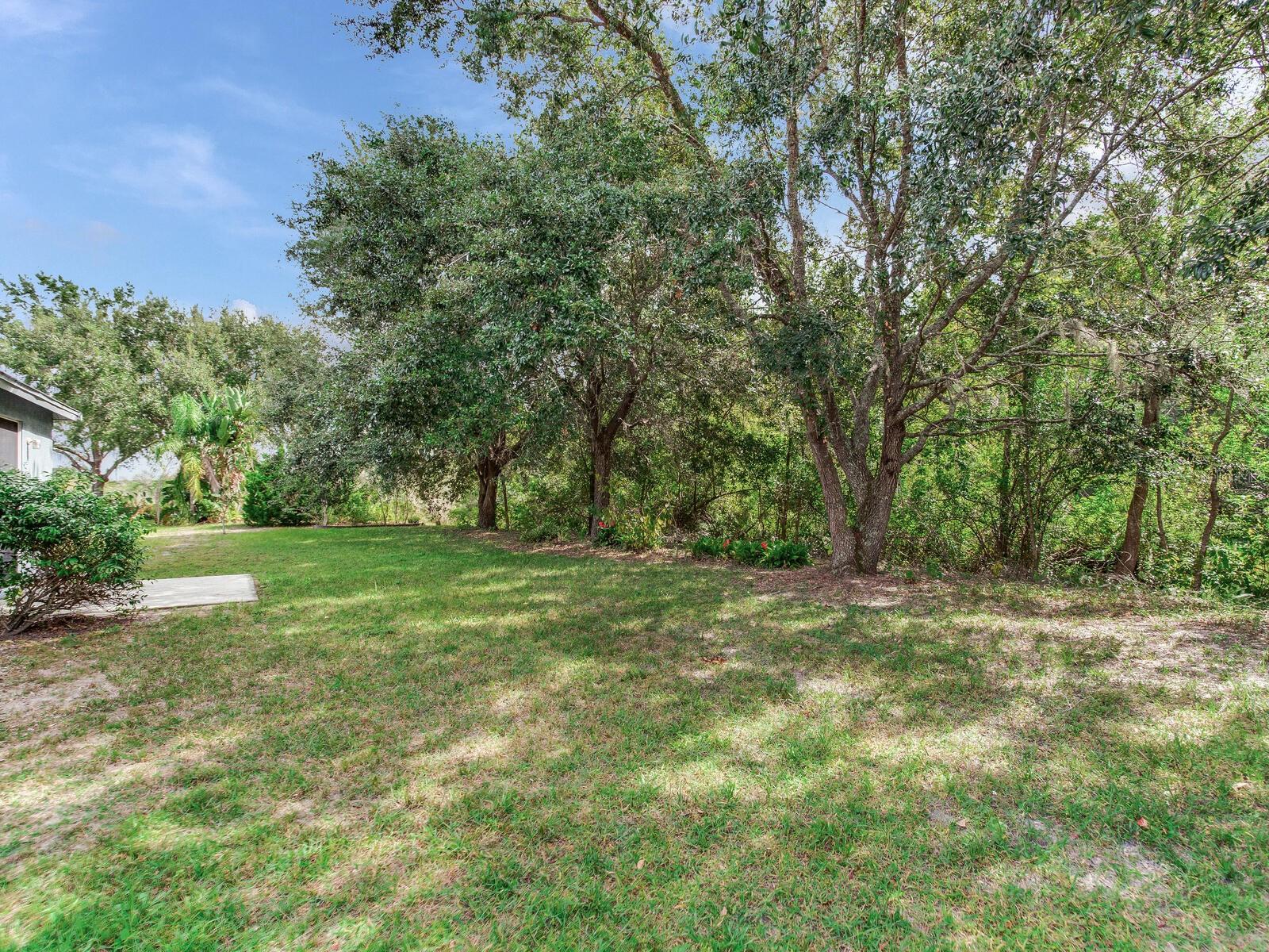 17433 LAWN ORCHID LOOP