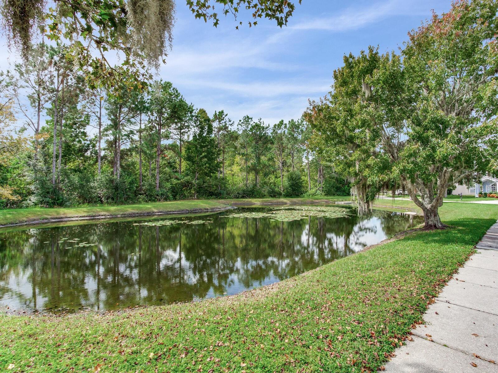 17433 LAWN ORCHID LOOP