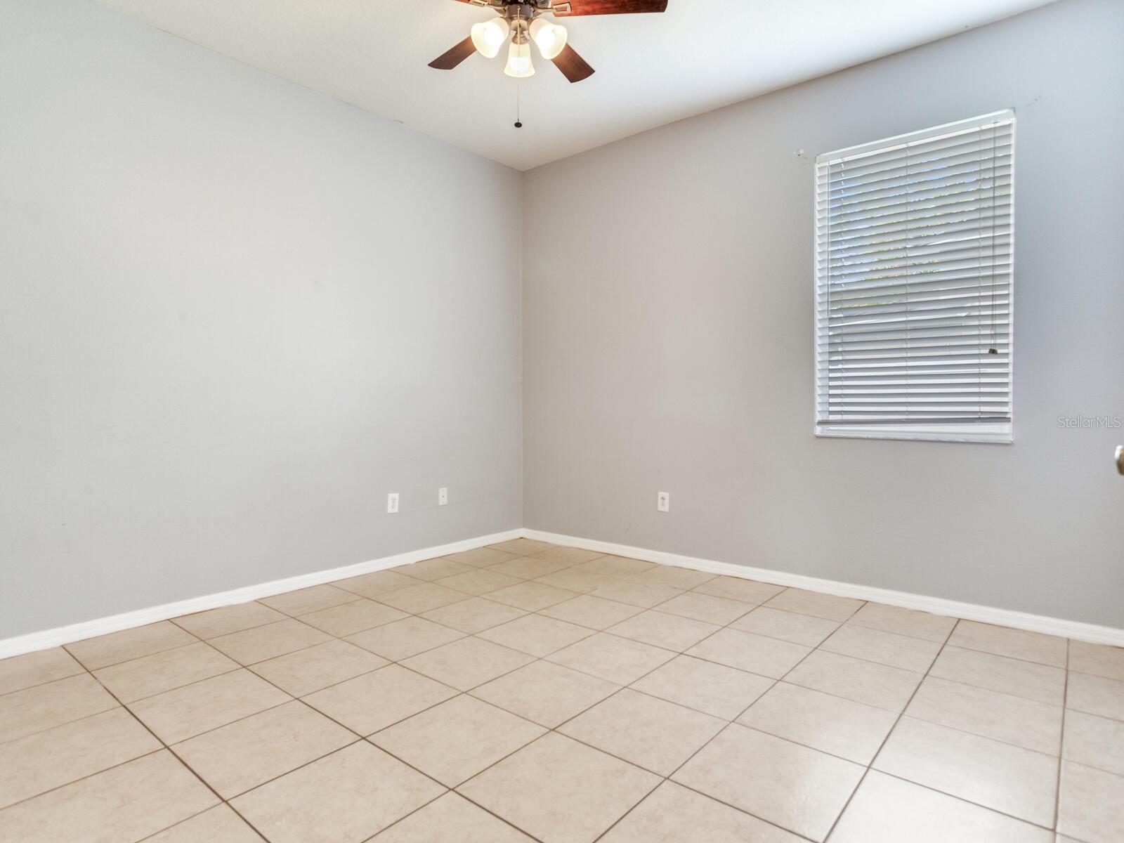 17433 LAWN ORCHID LOOP