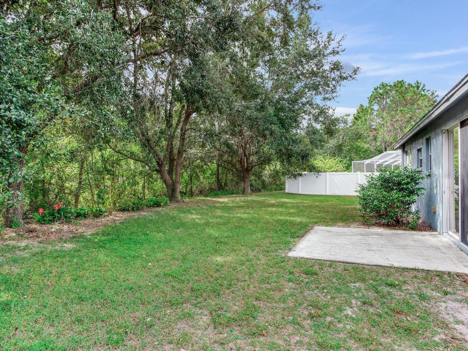 17433 LAWN ORCHID LOOP