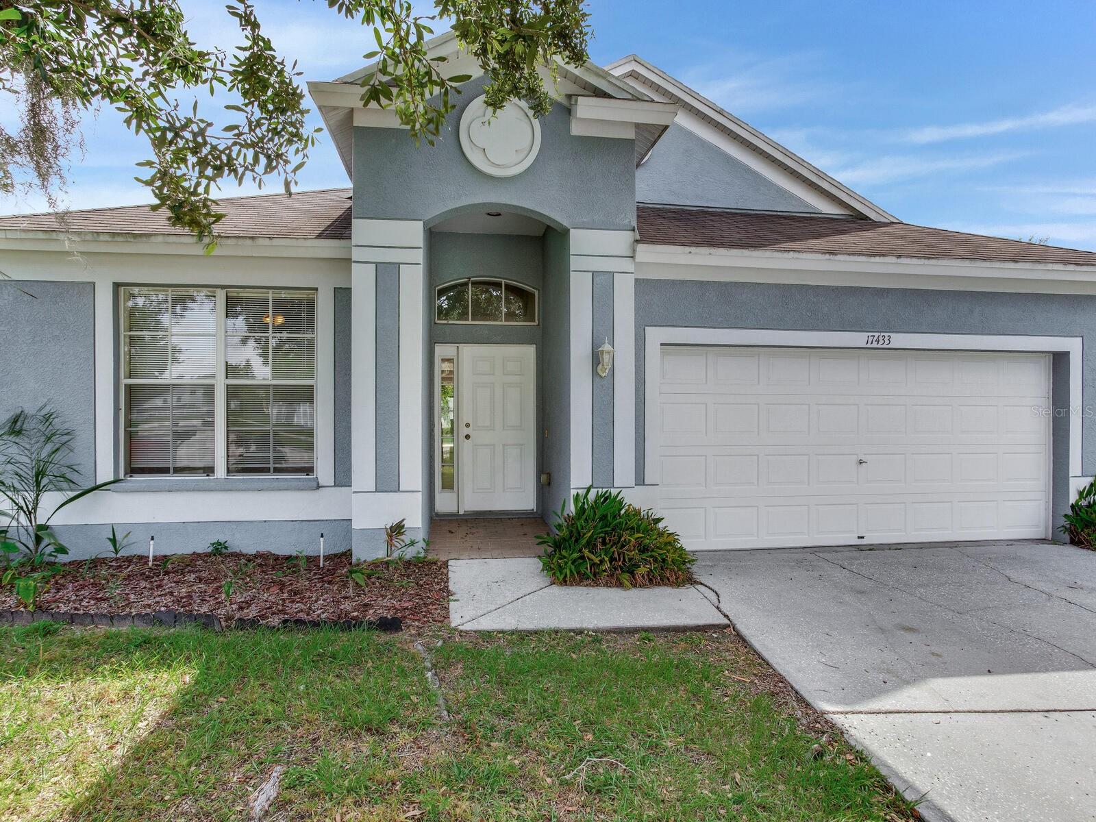 17433 LAWN ORCHID LOOP