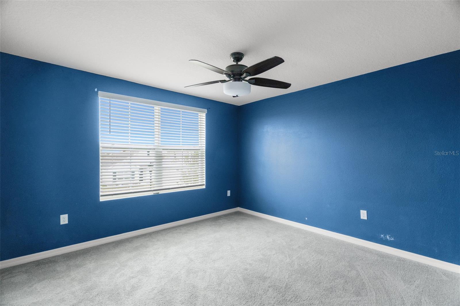 2818 GUMBO LIMBO DR