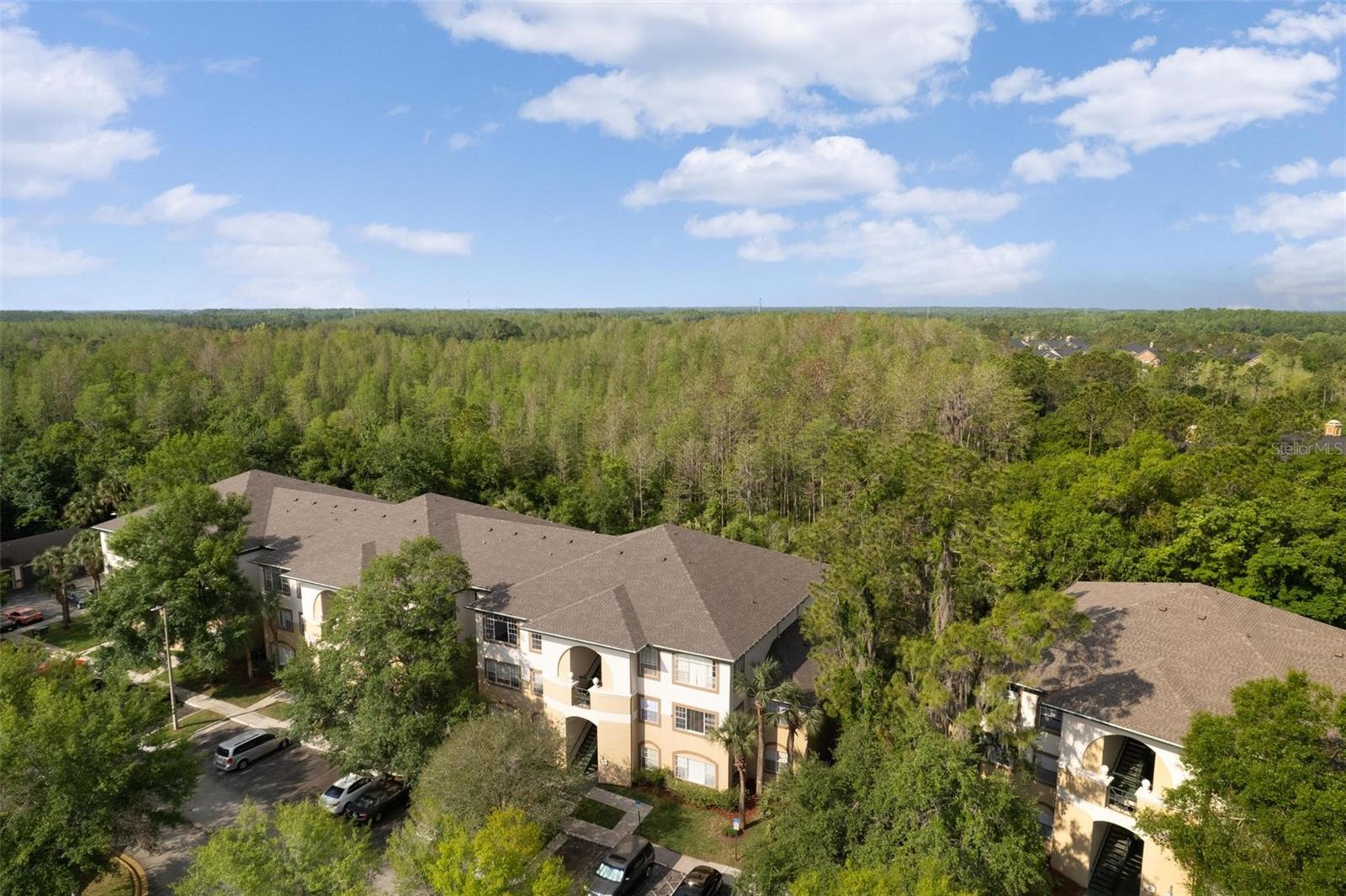 17110 CARRINGTON PARK DR #832