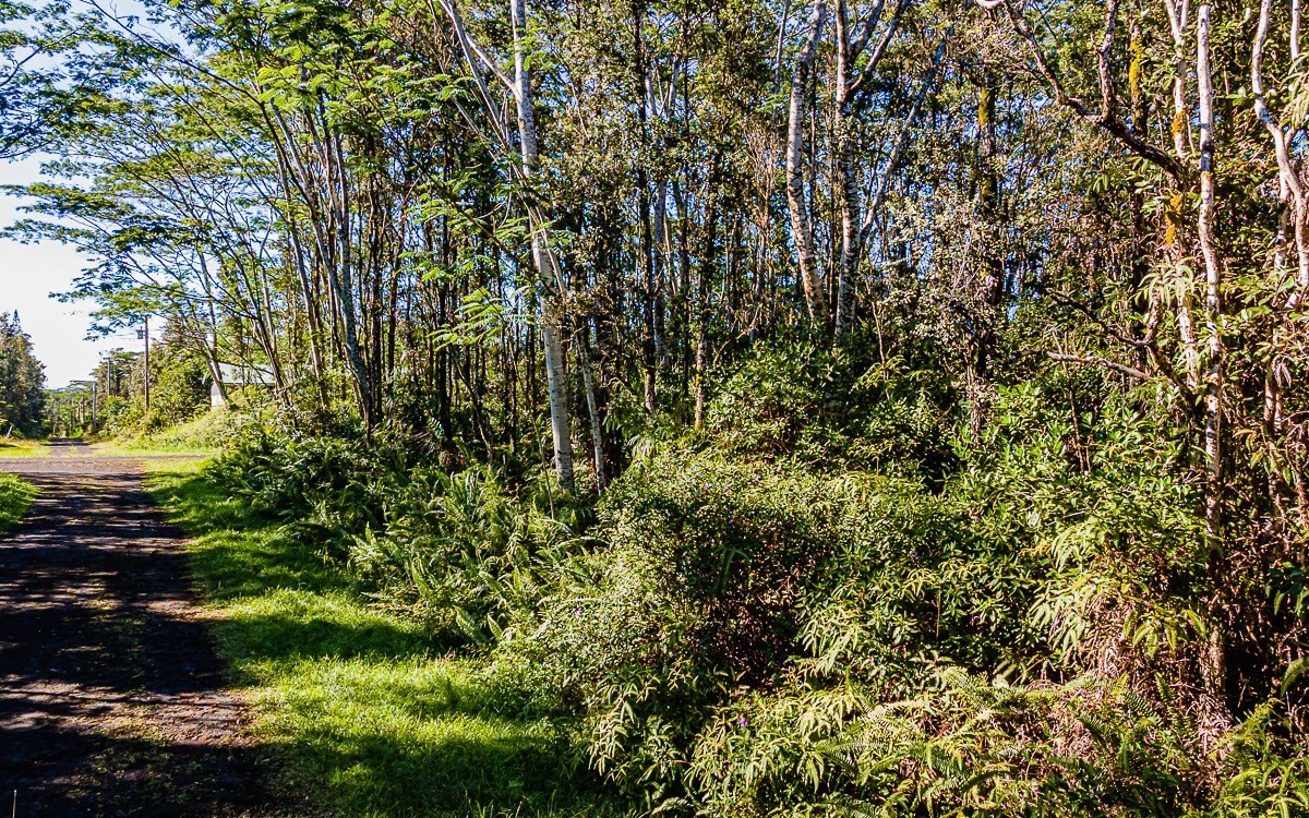 WAIMEA RD