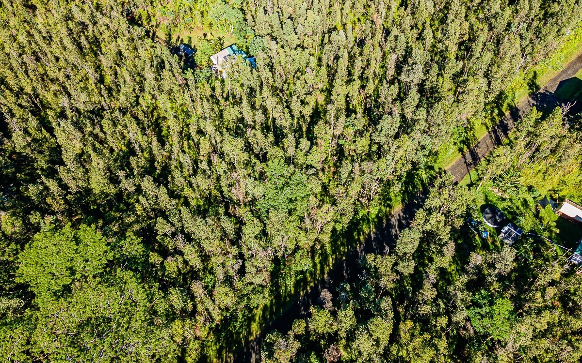 WAIMEA RD
