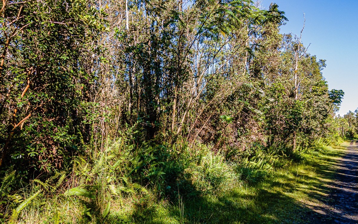 WAIMEA RD