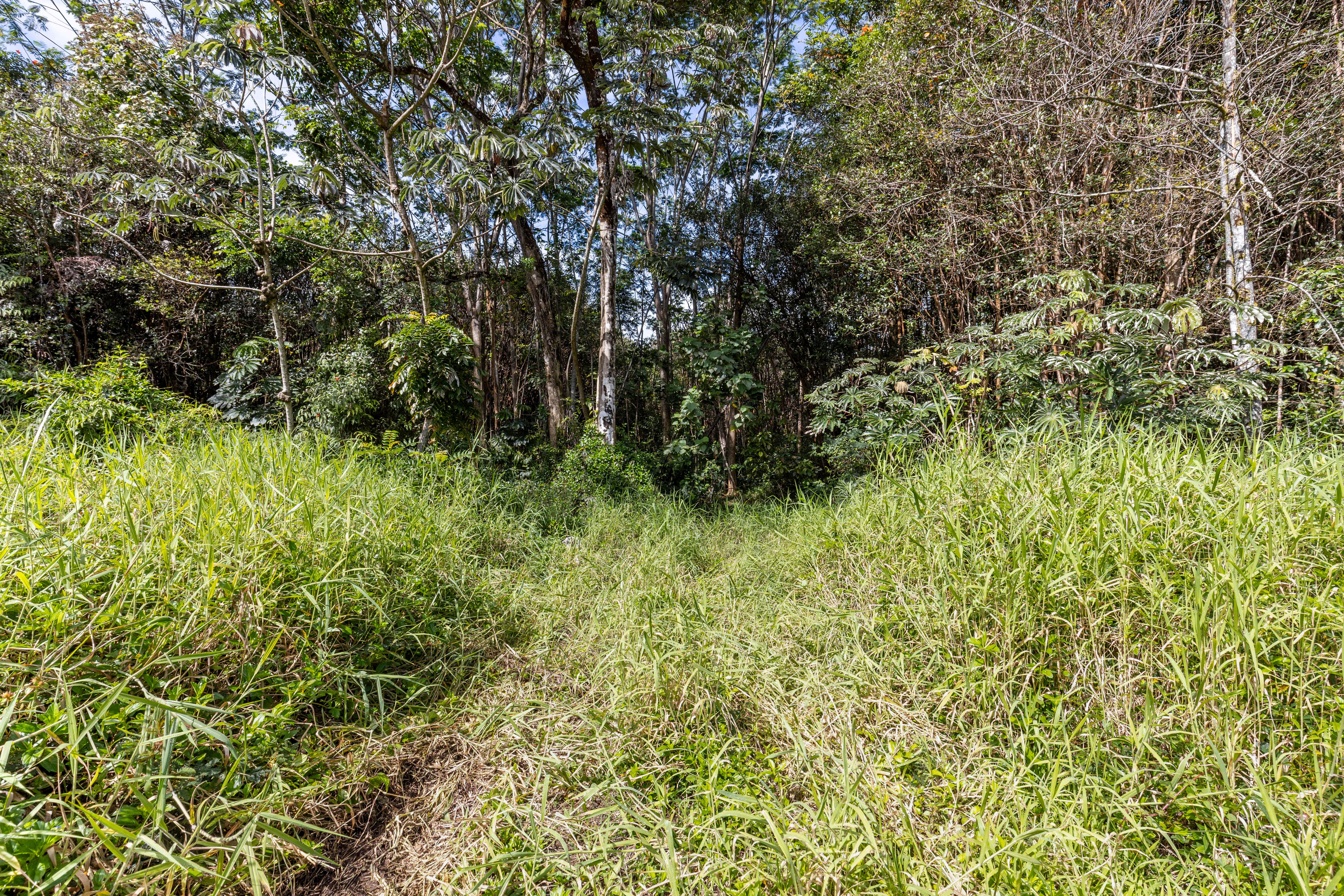AINALAKO RD