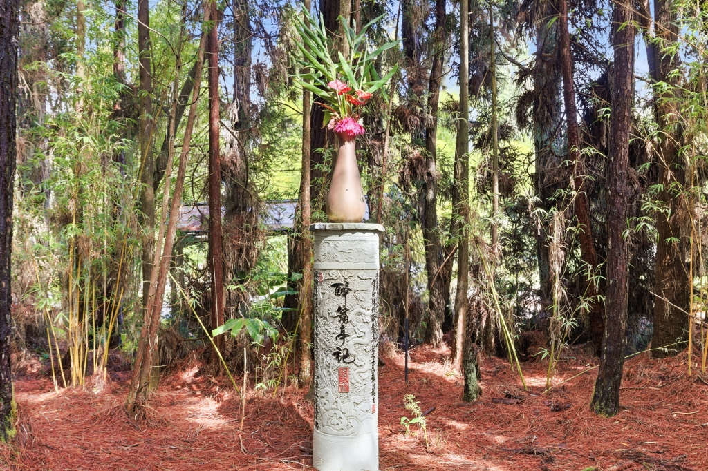 19-3834 OLD VOLCANO RD