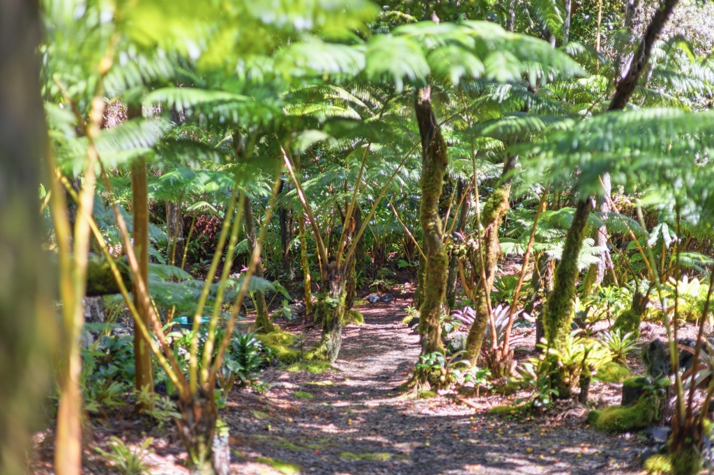 19-3834 OLD VOLCANO RD