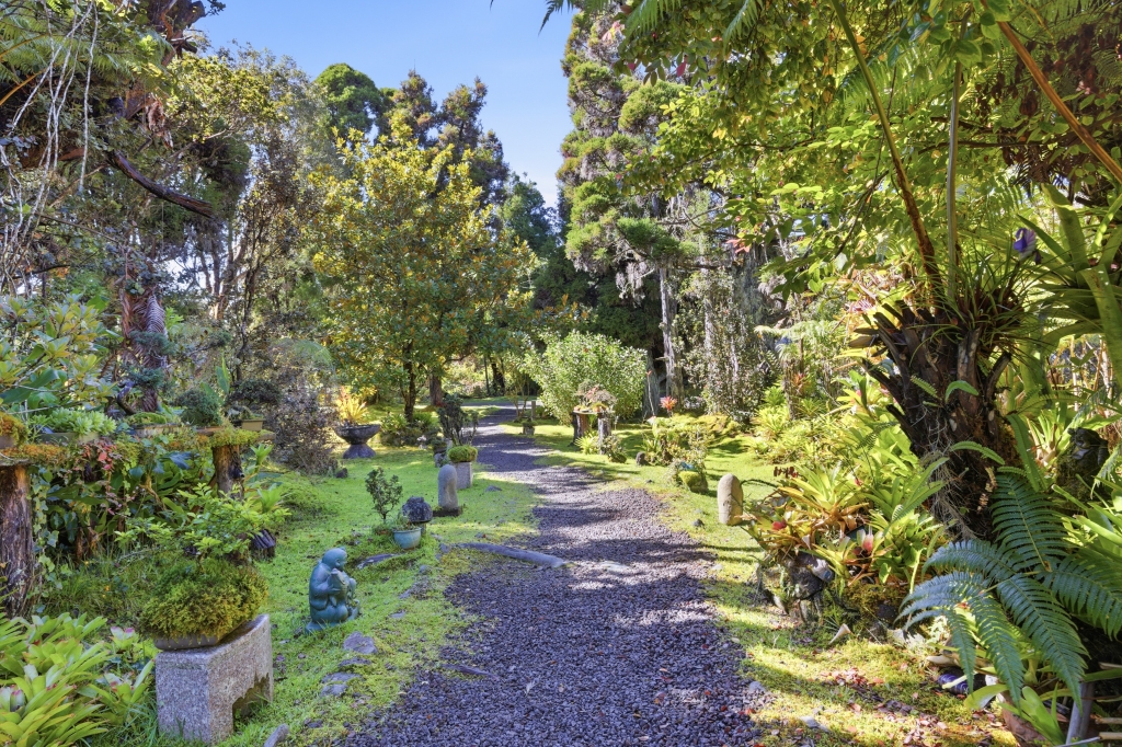 19-3834 OLD VOLCANO RD