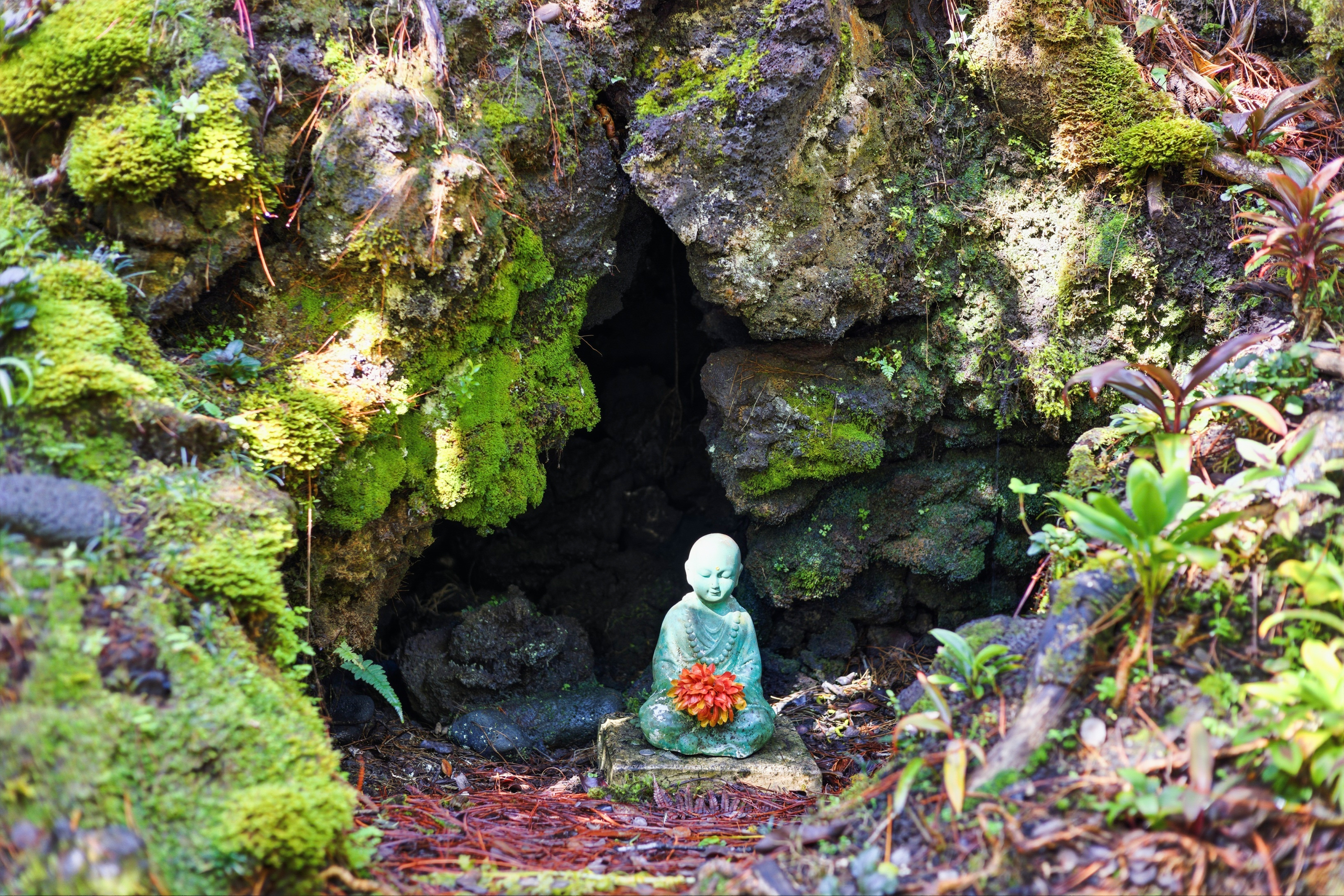 19-3834 OLD VOLCANO RD