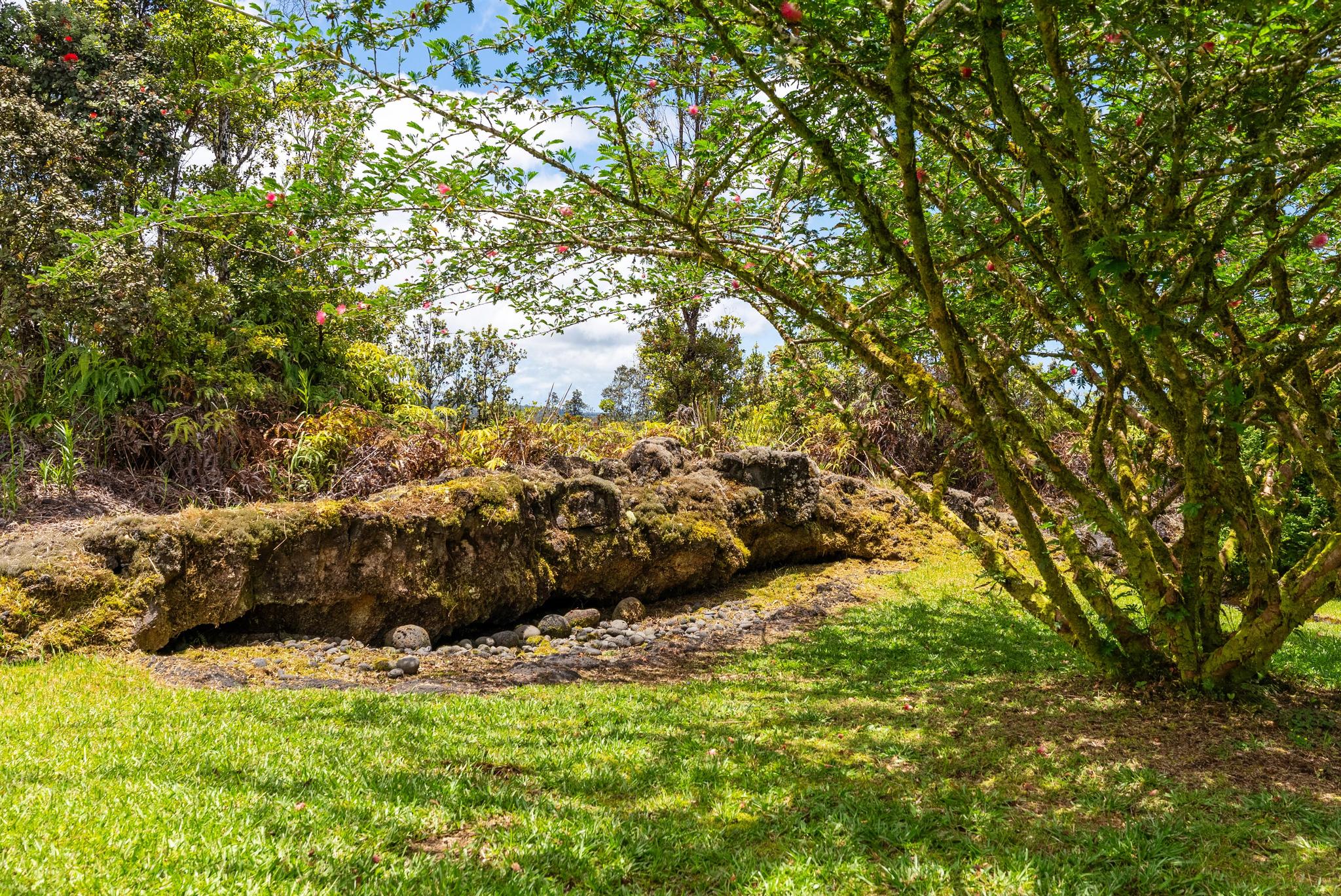 3331 KAUMANA DRIVE