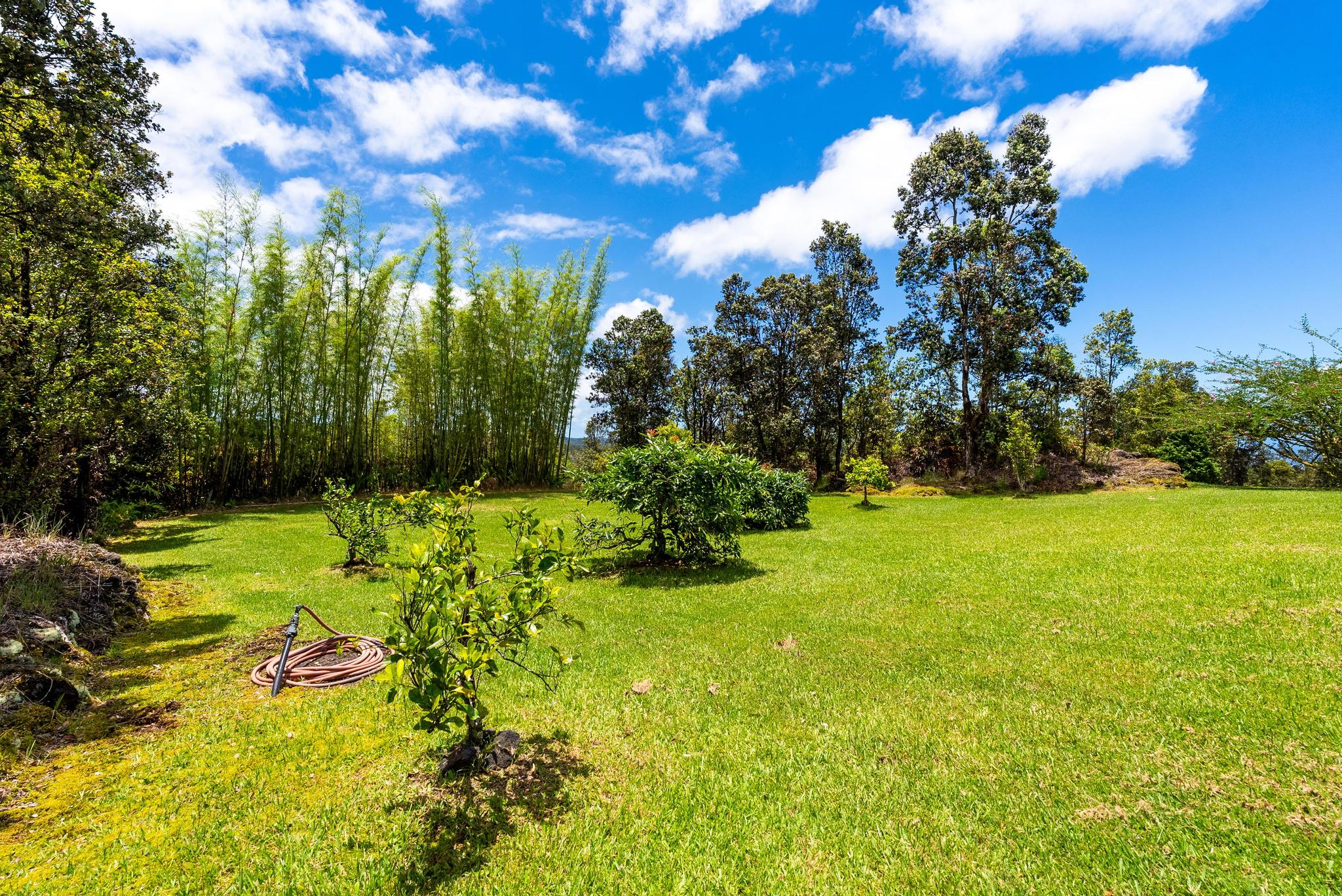 3331 KAUMANA DRIVE