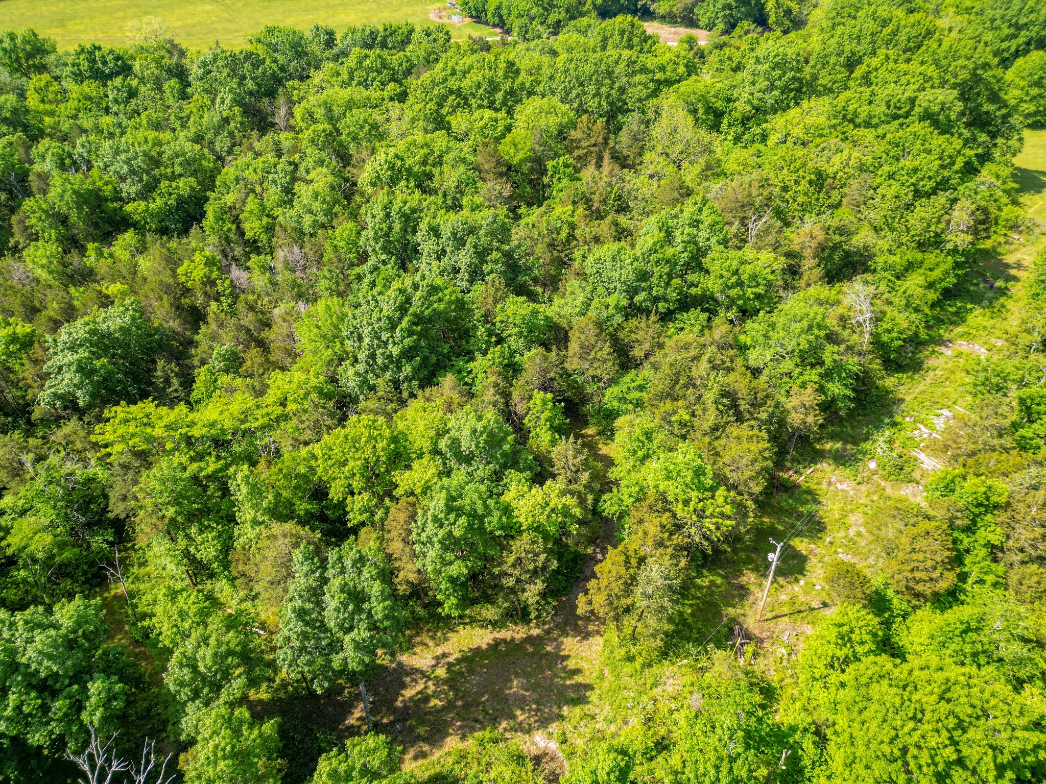 1679 Verona Caney Road