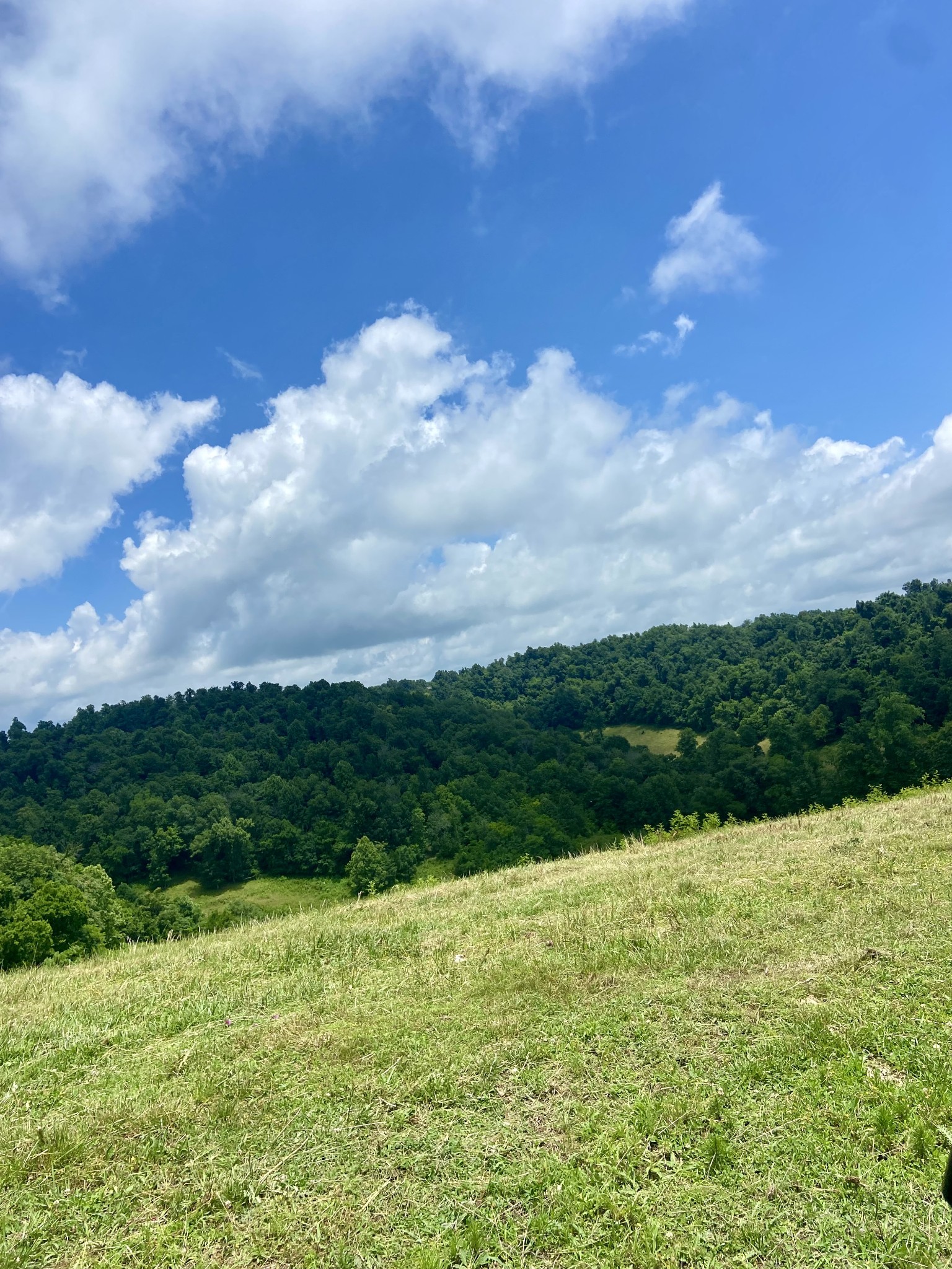 0 Foster Hollow Road