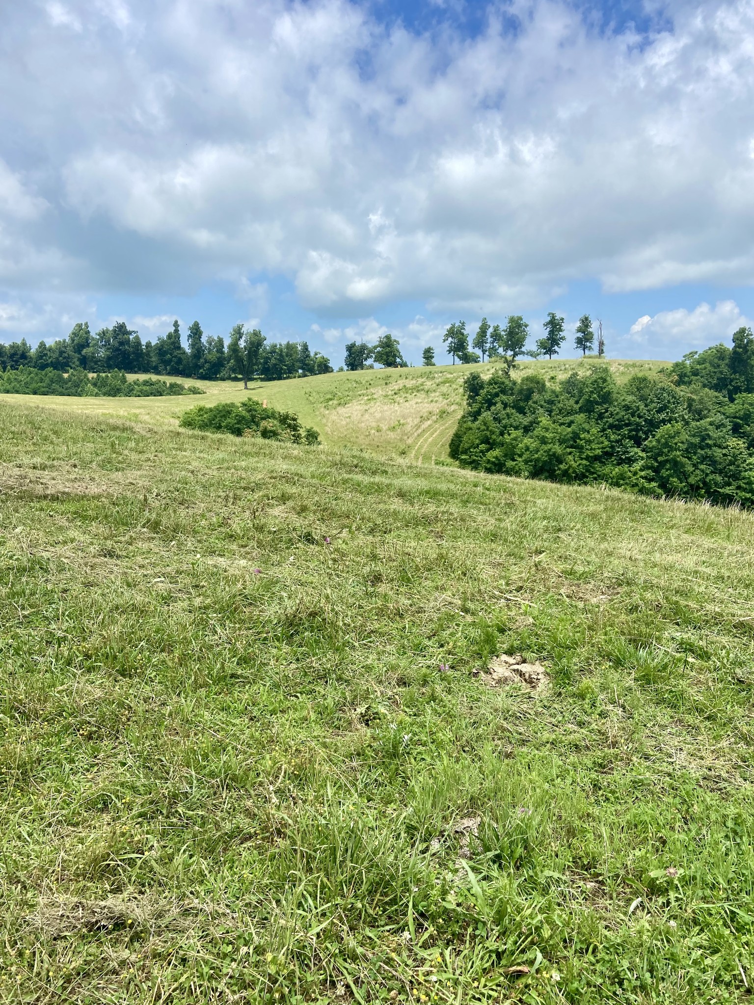 0 Foster Hollow Road