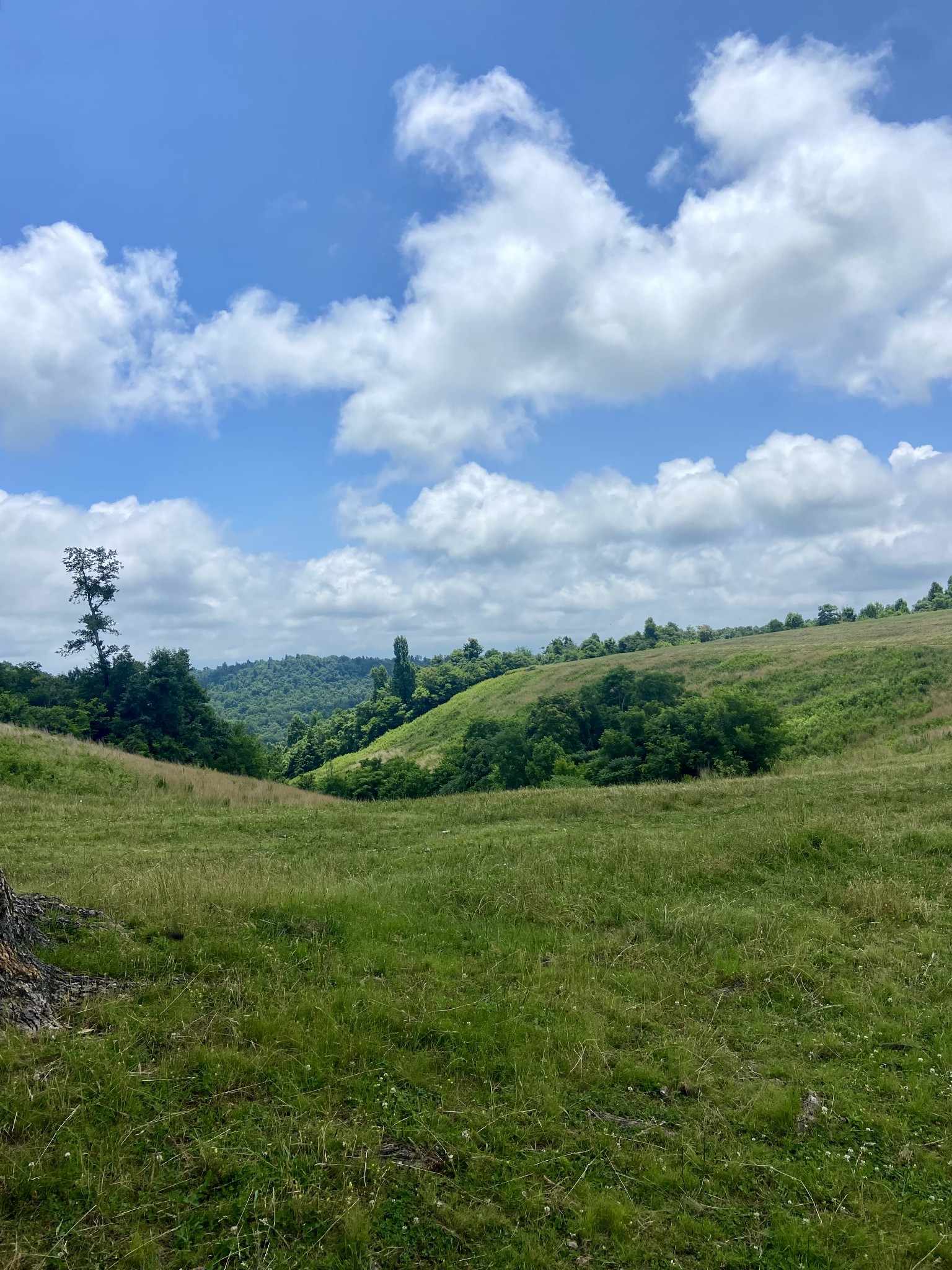 0 Foster Hollow Road