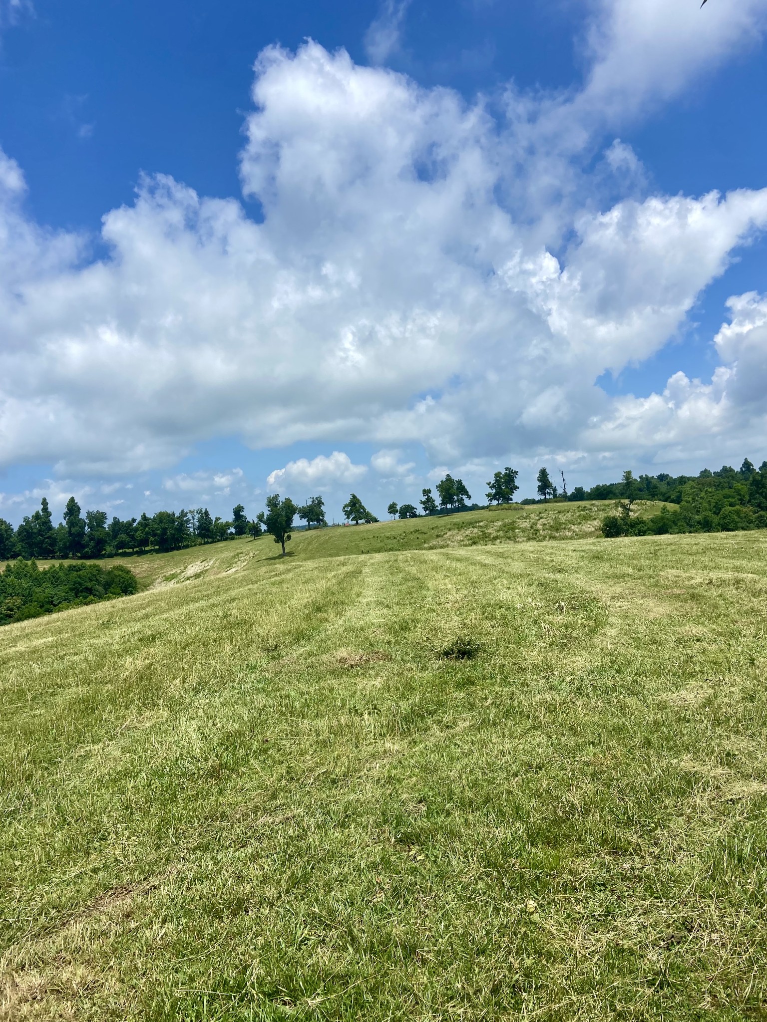 0 Foster Hollow Road