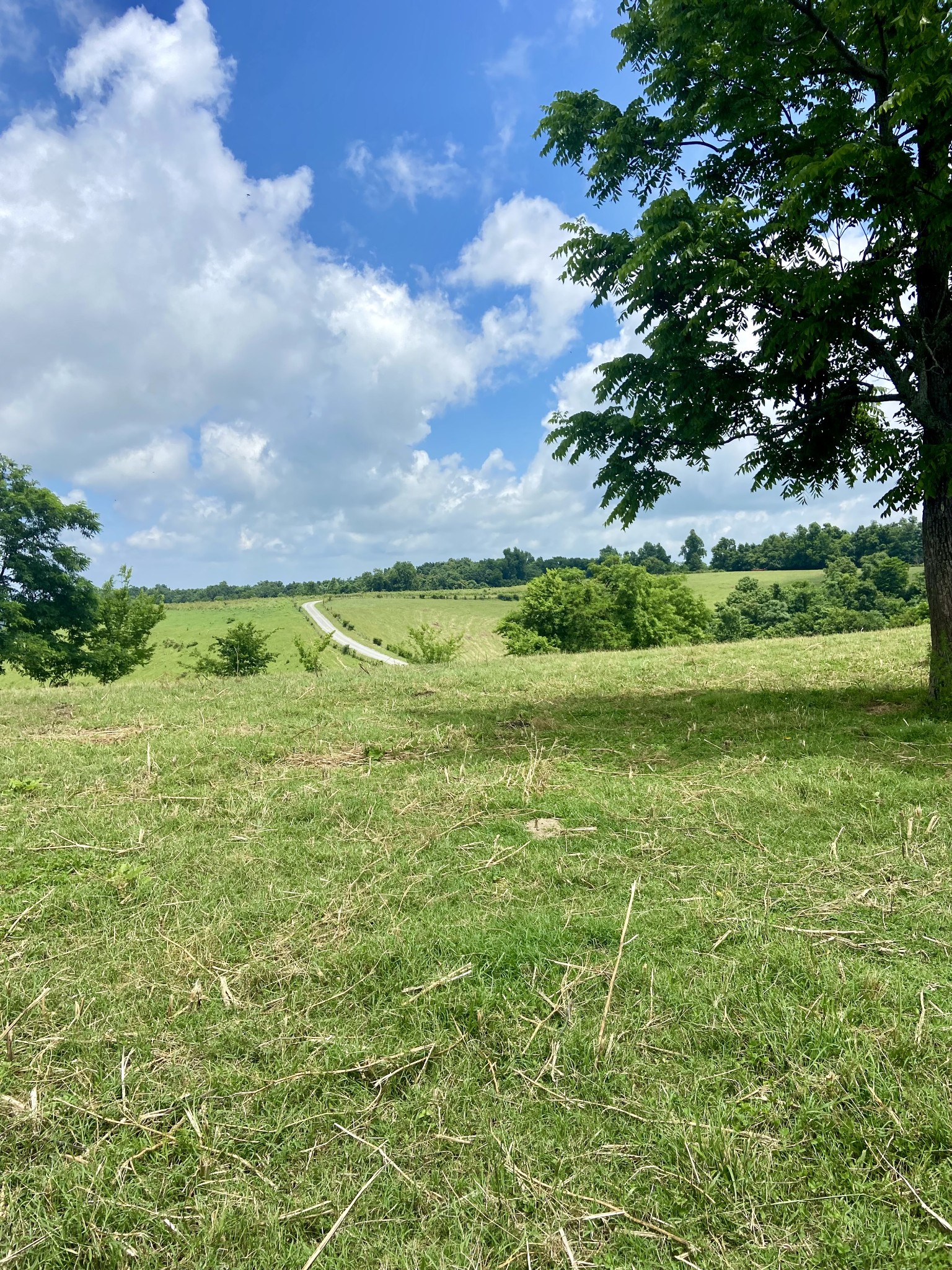 0 Foster Hollow Road