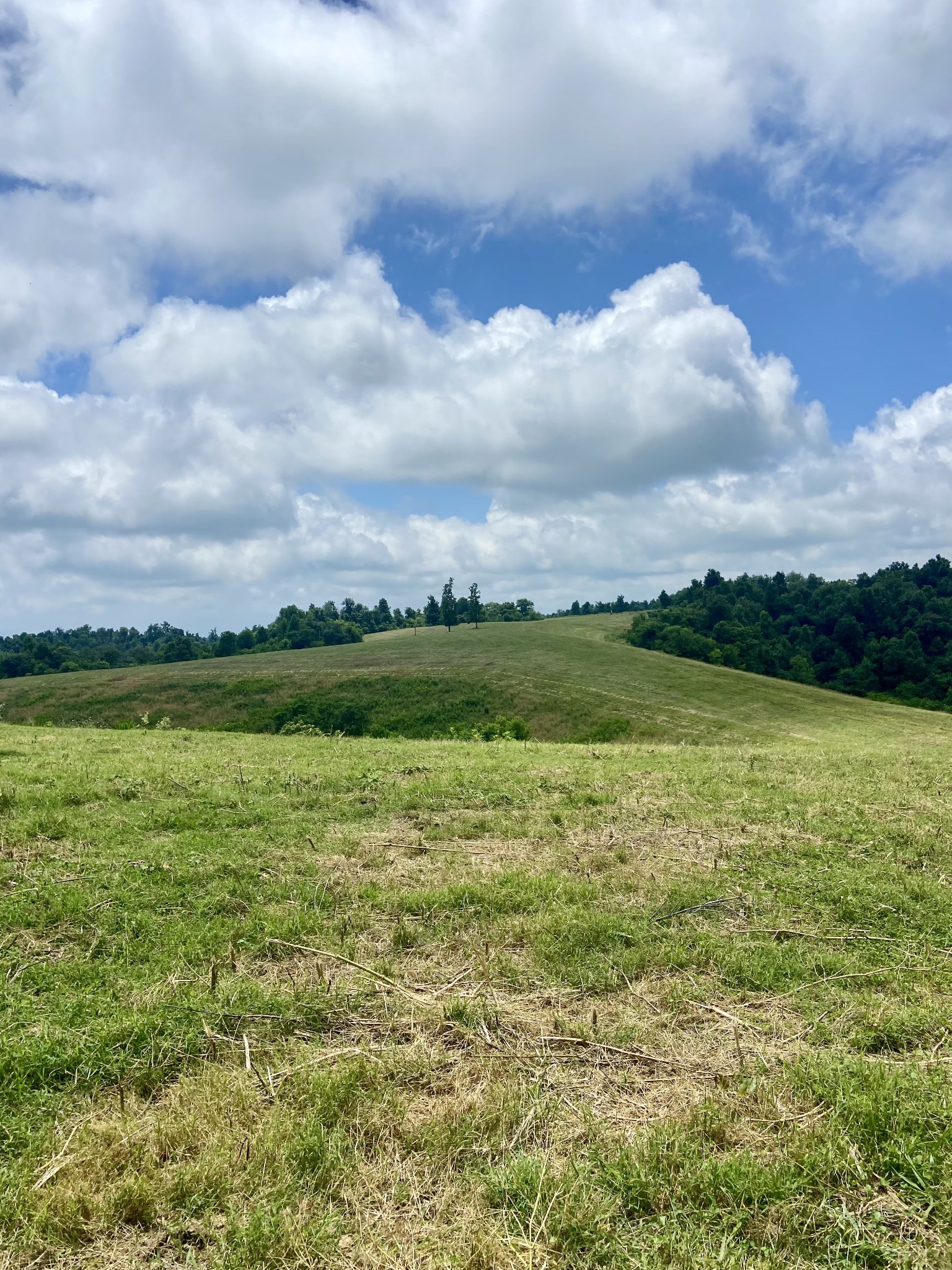 0 Foster Hollow Road