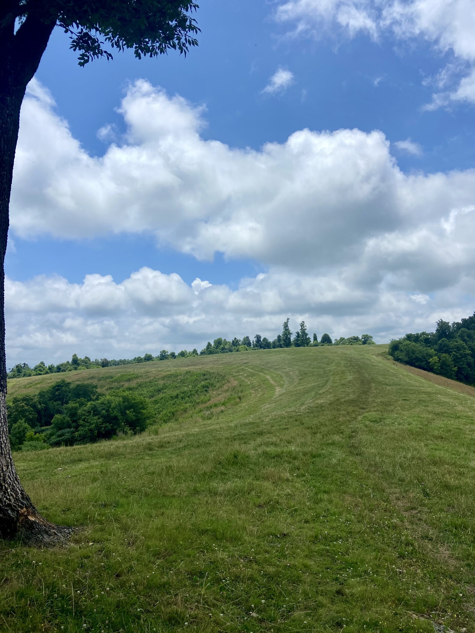 0 Foster Hollow Road