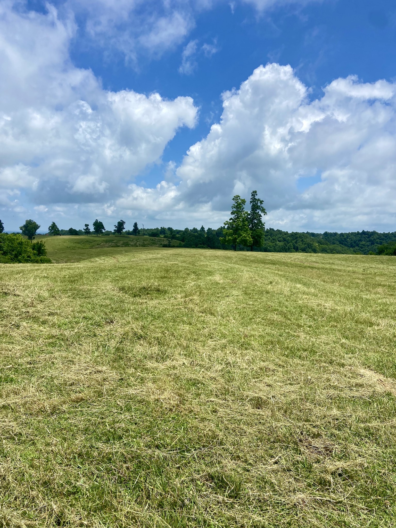 0 Foster Hollow Road