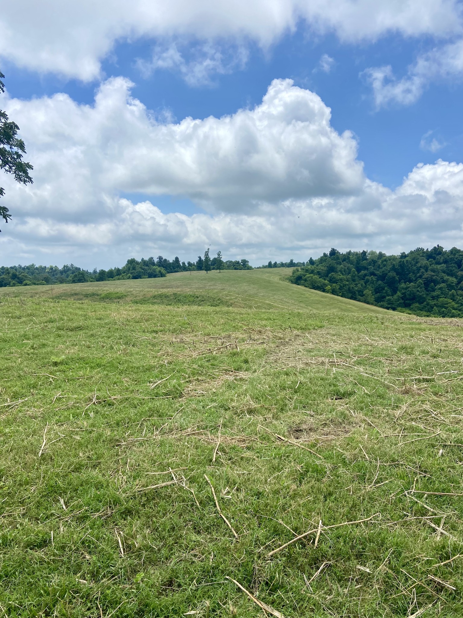 0 Foster Hollow Road