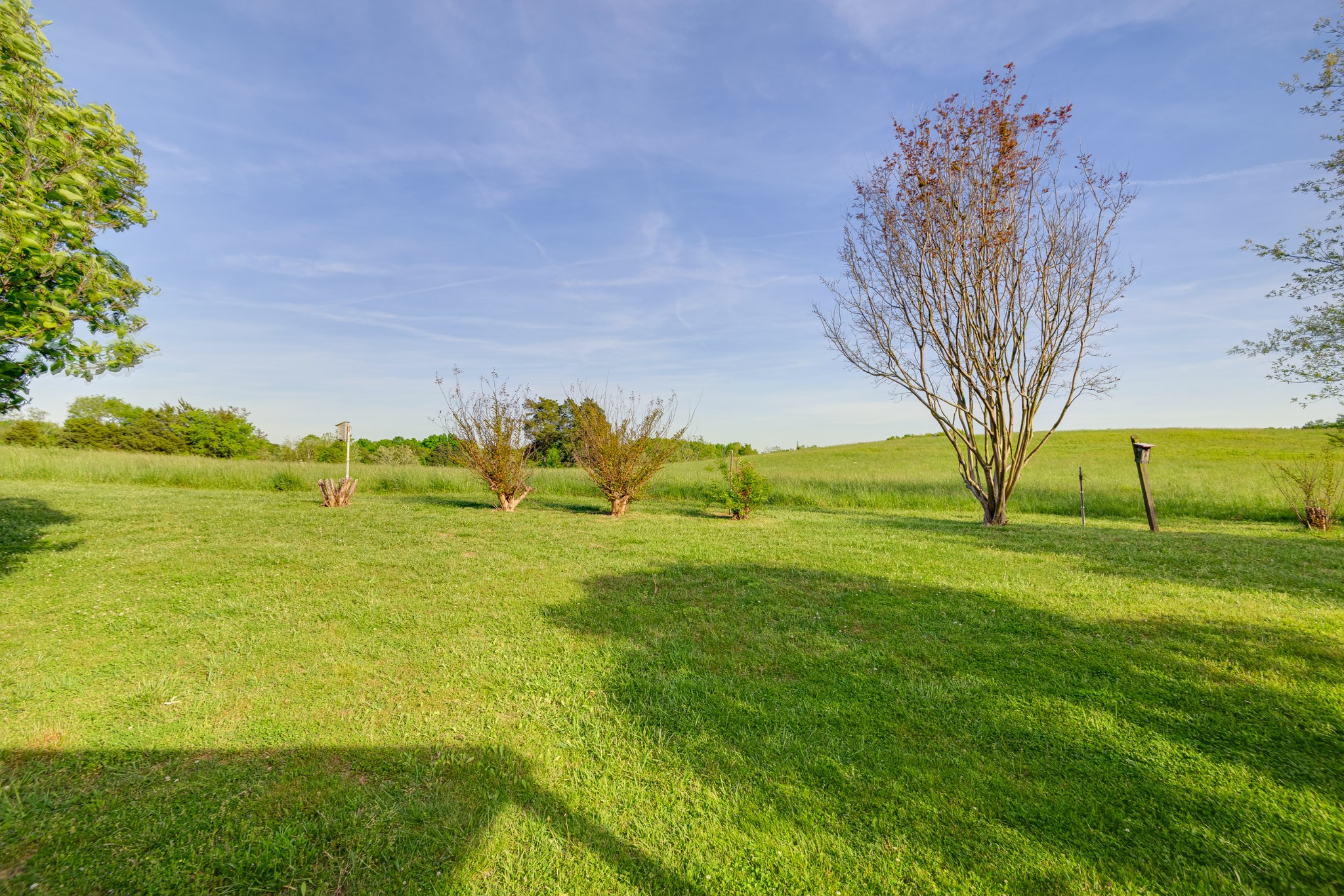 1130 Horse Mountain Rd