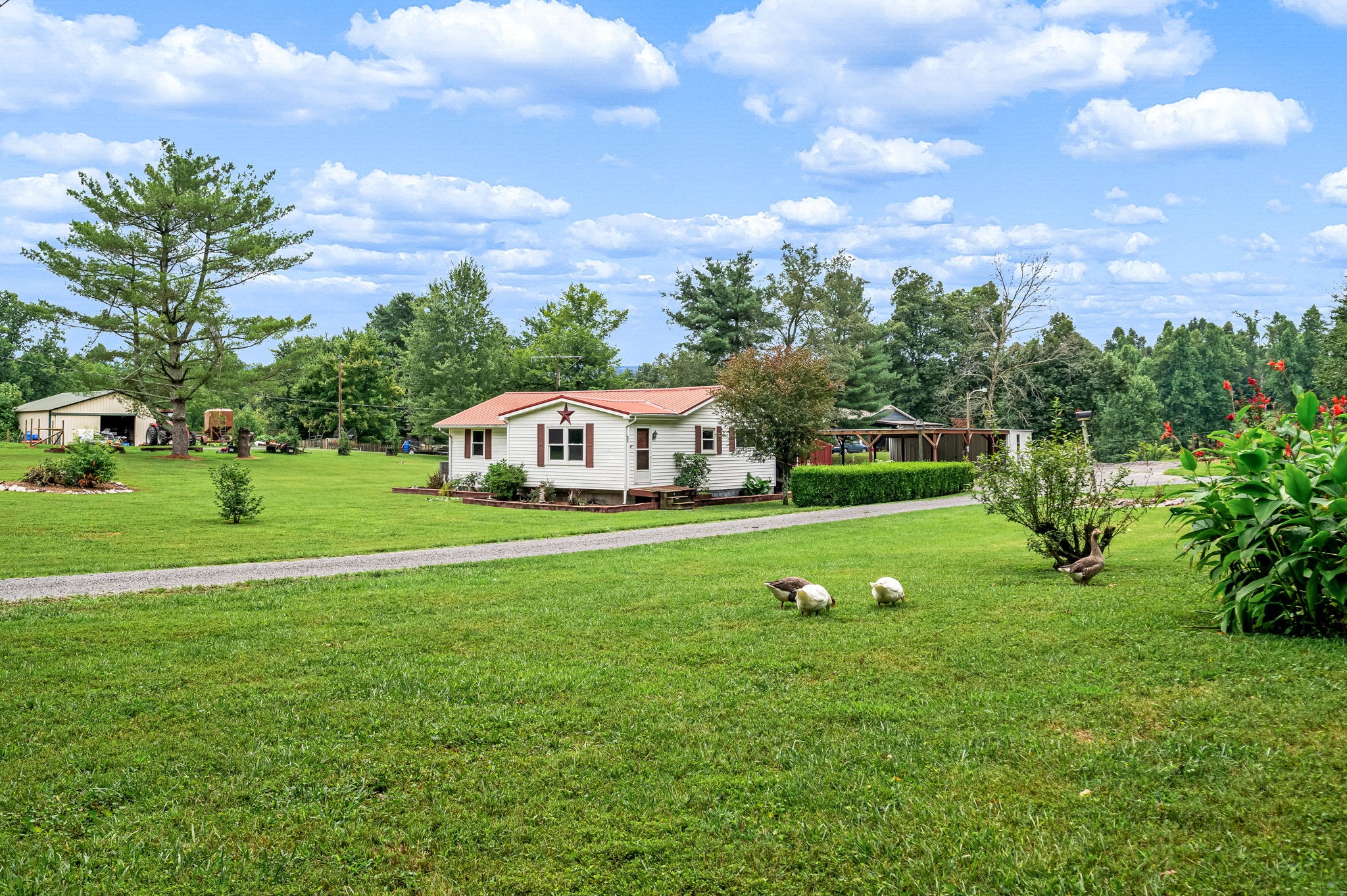 290 Womble Rd
