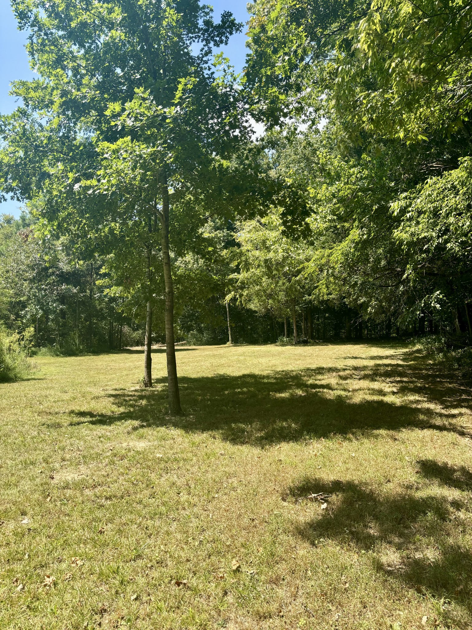 239 Arnold Ln