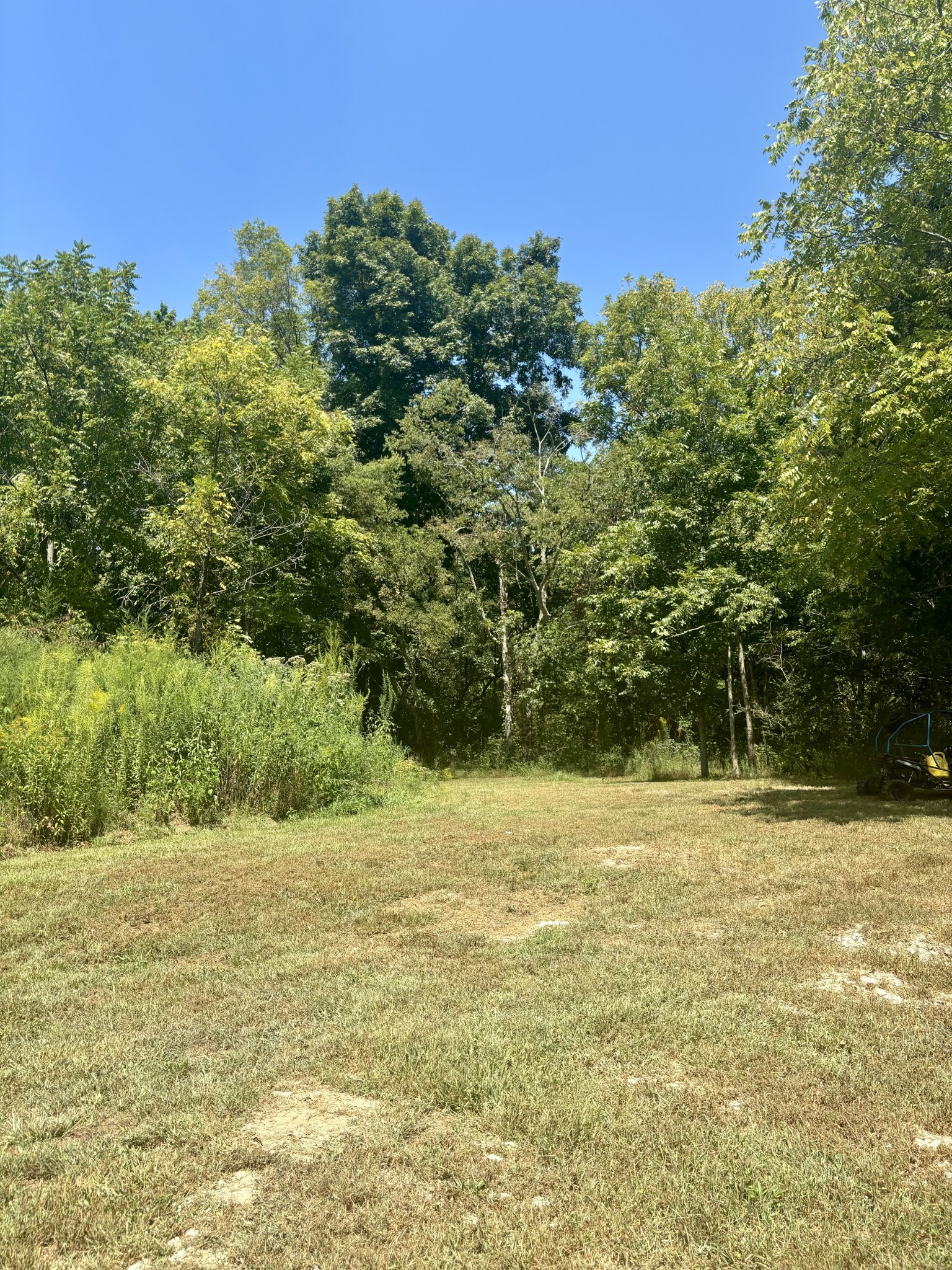 239 Arnold Ln