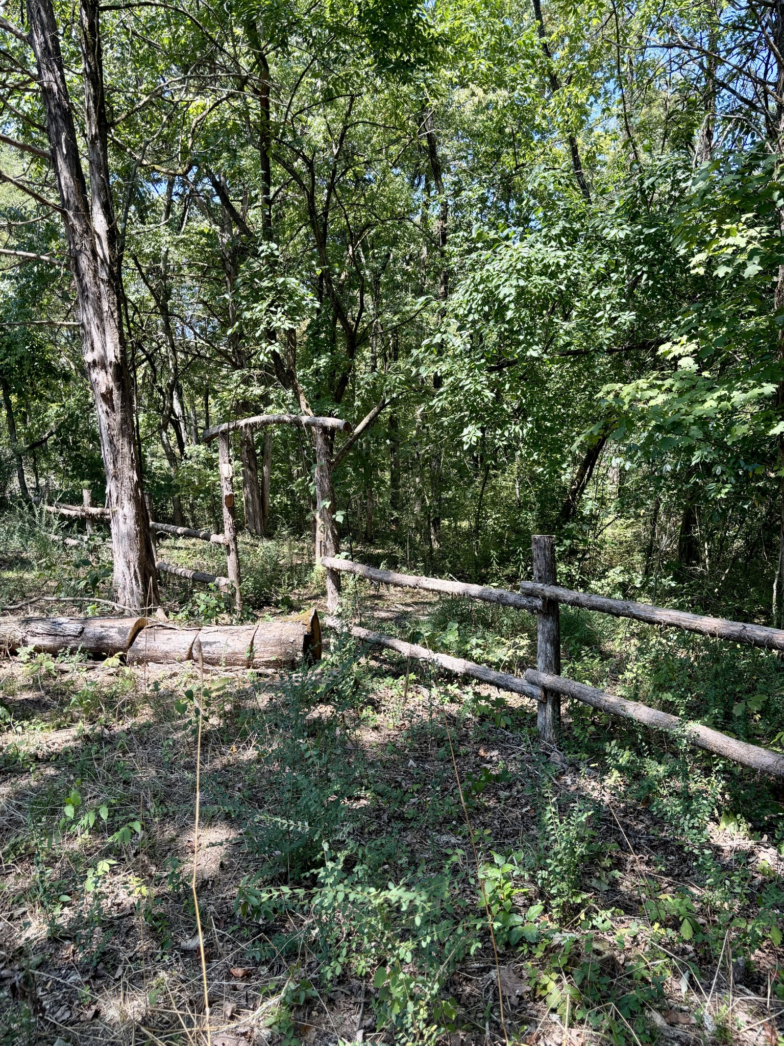 239 Arnold Ln