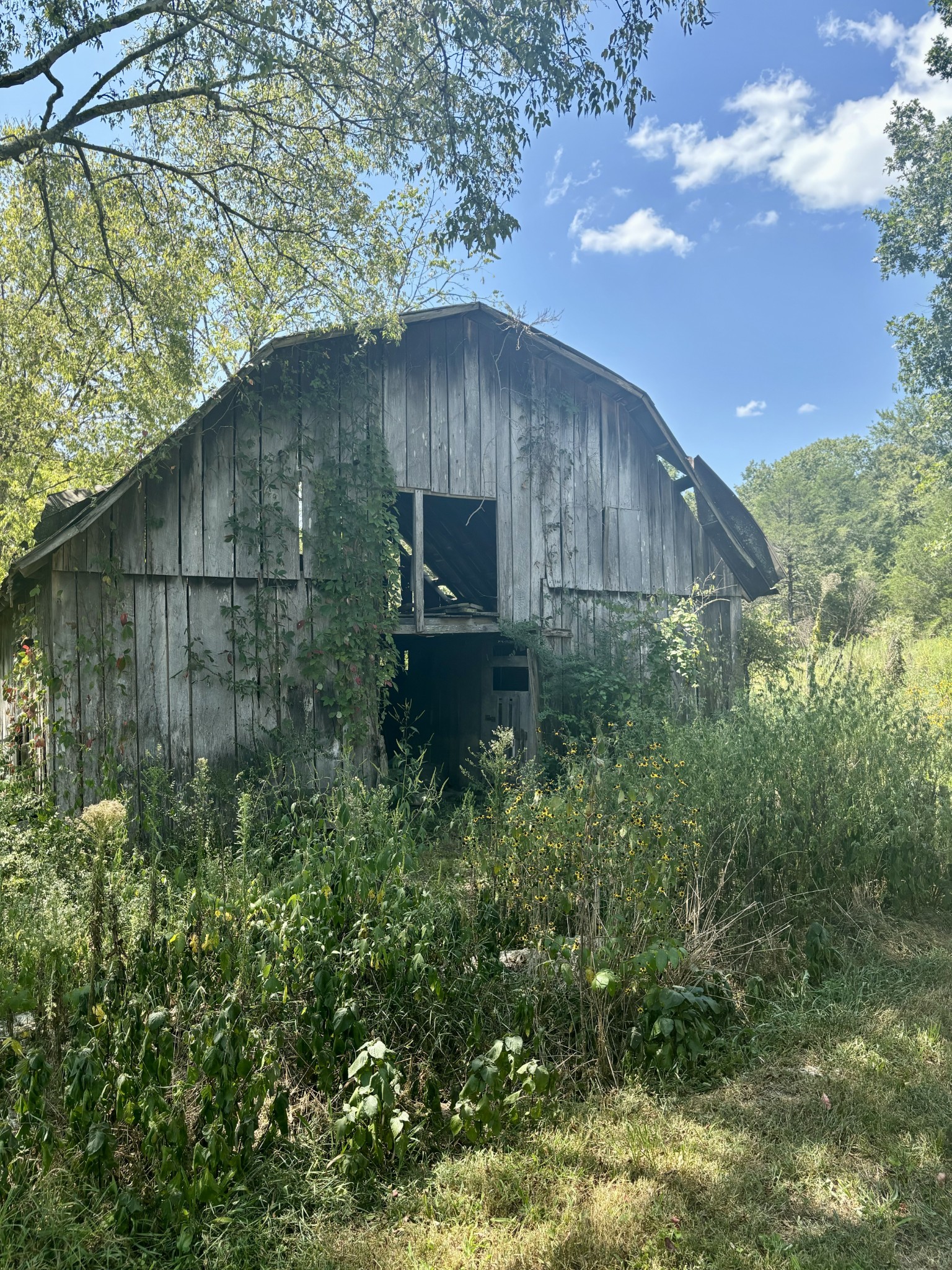 239 Arnold Ln