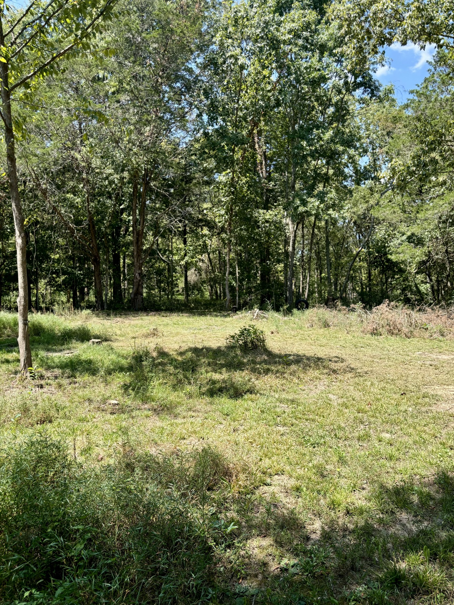 239 Arnold Ln