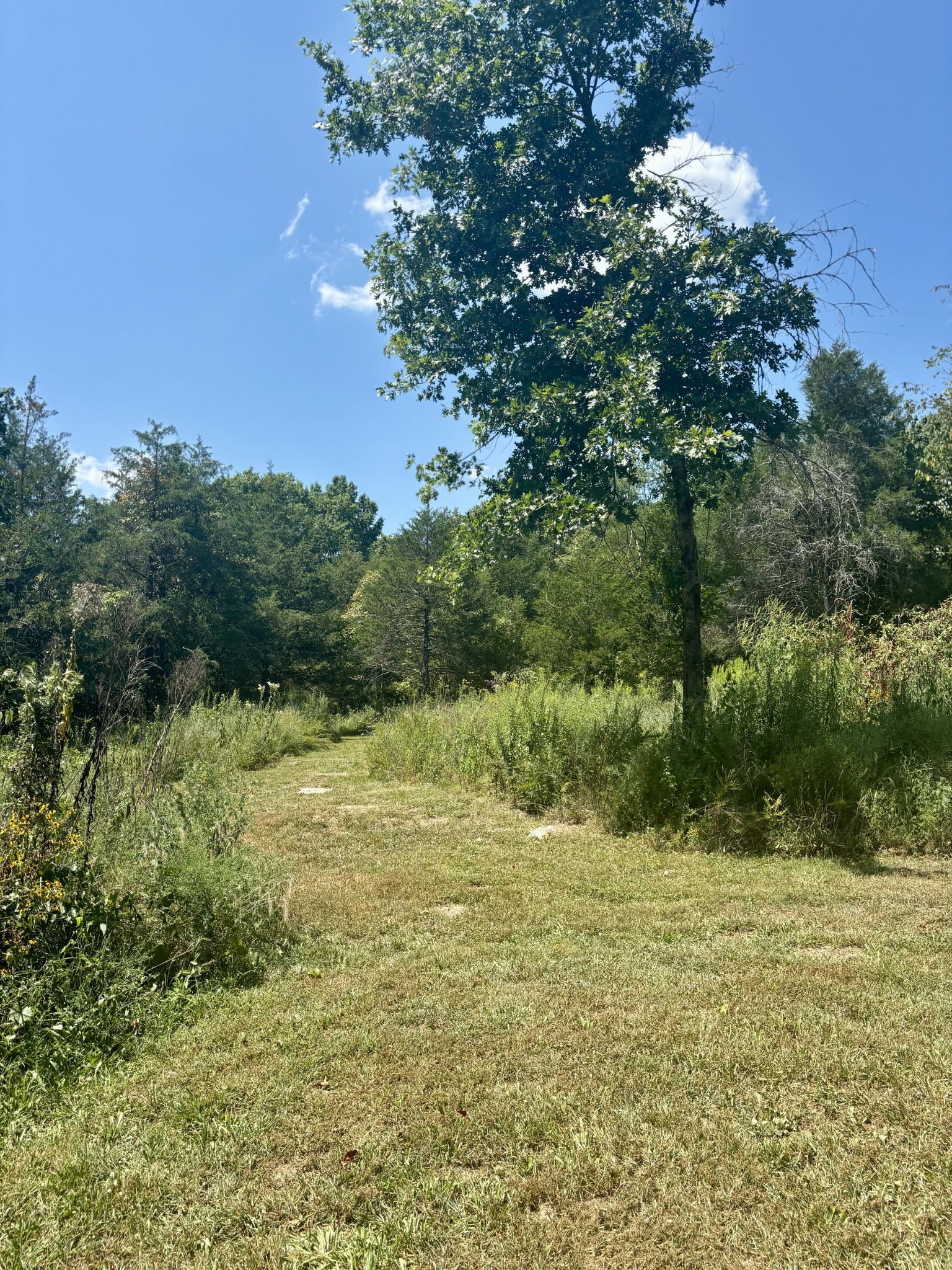 239 Arnold Ln