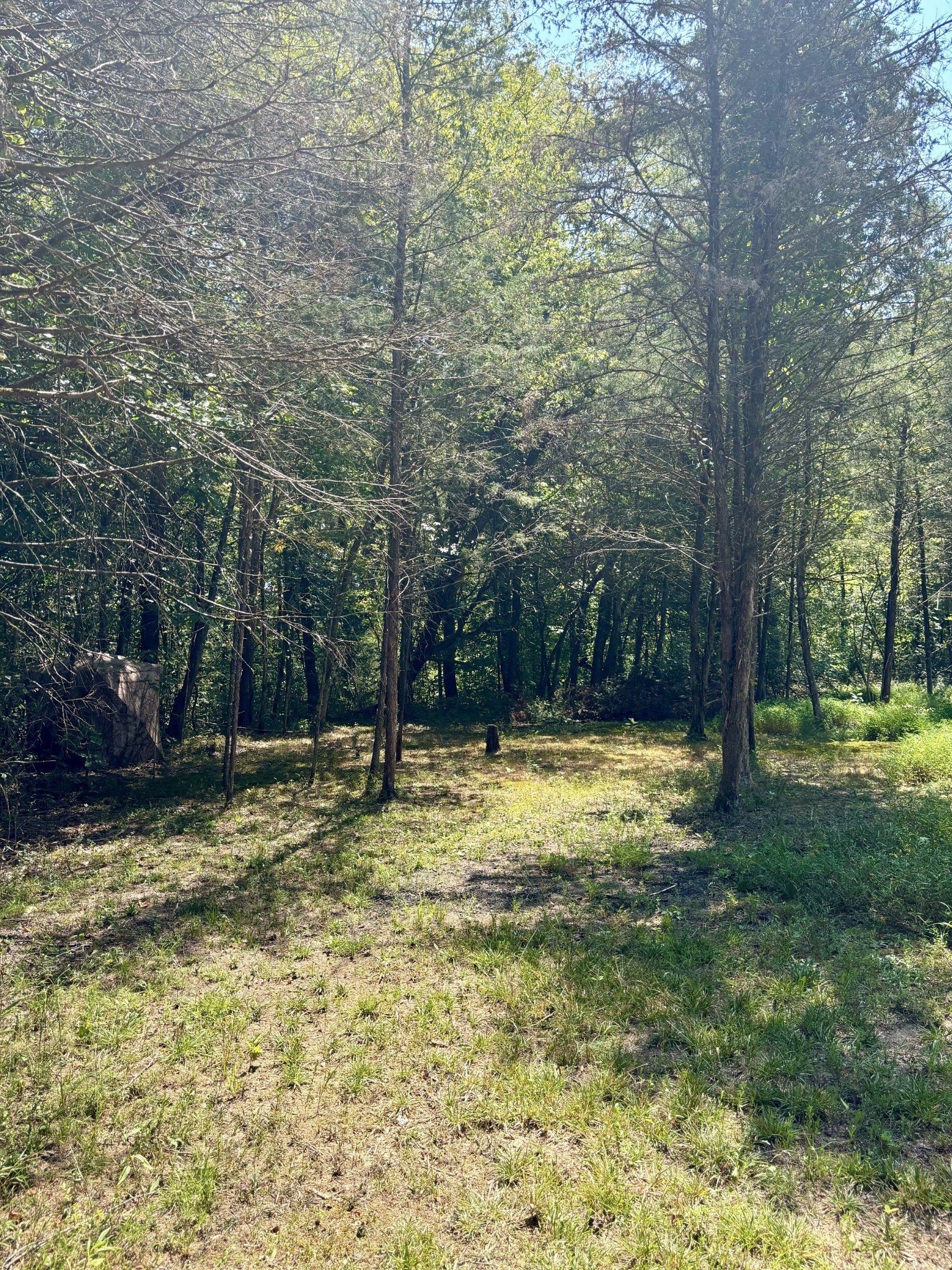 239 Arnold Ln