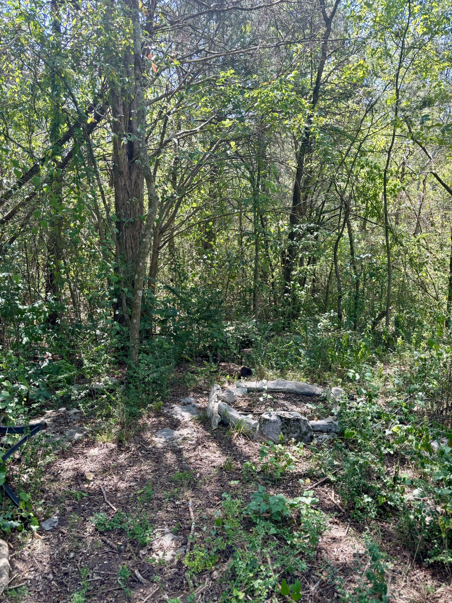 239 Arnold Ln