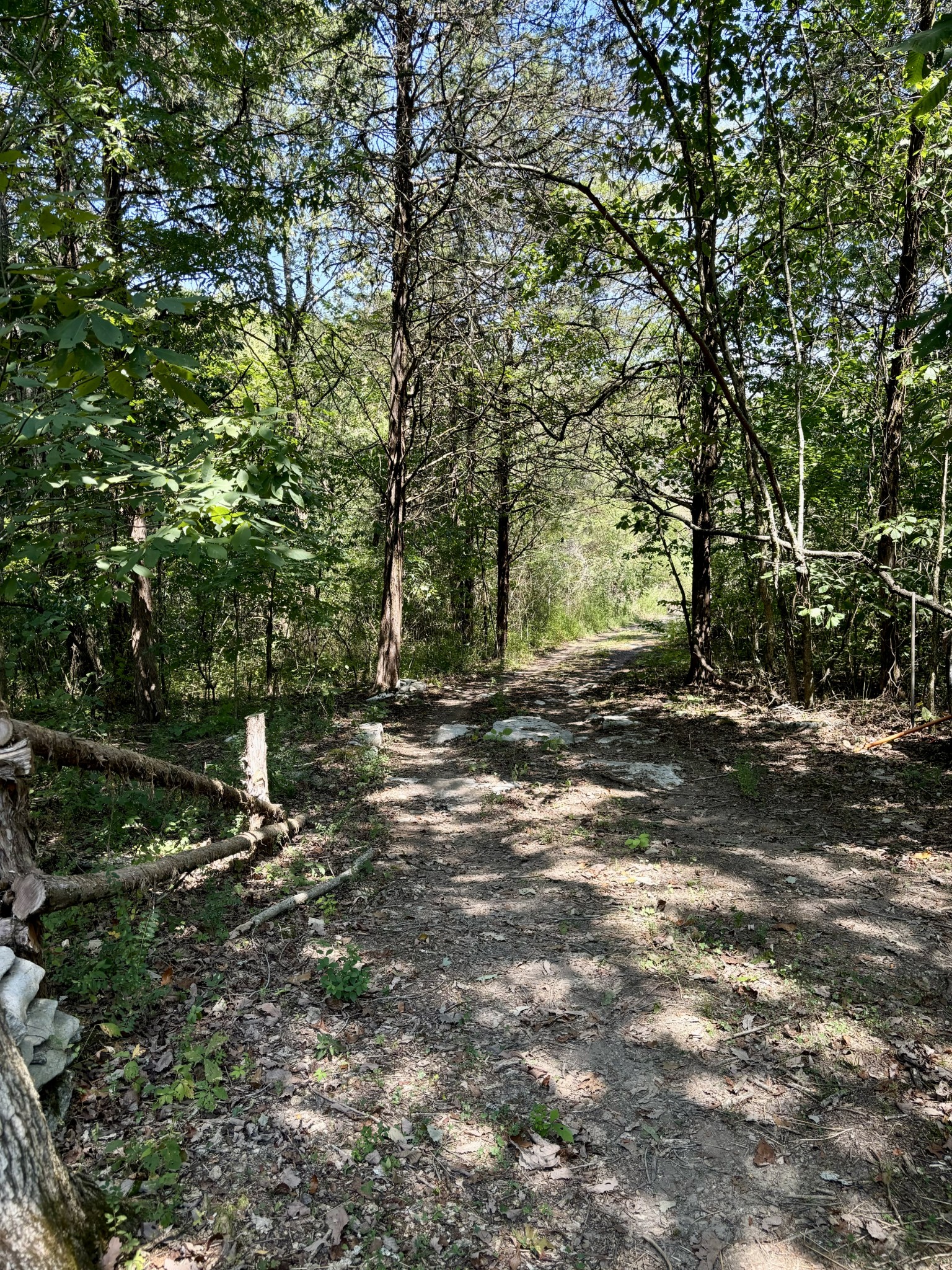 239 Arnold Ln