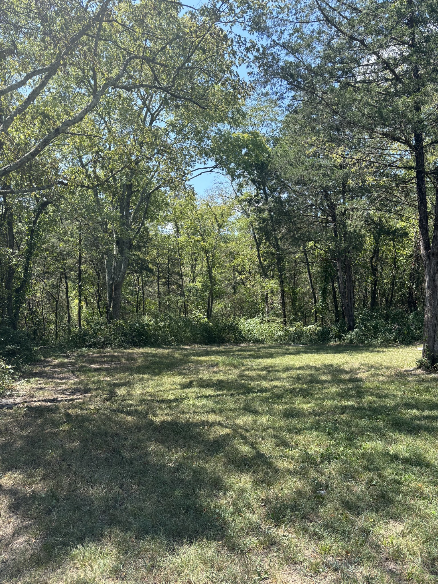 239 Arnold Ln