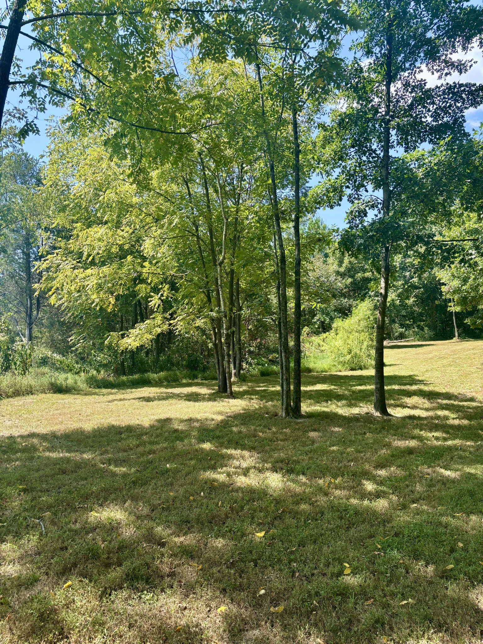 239 Arnold Ln