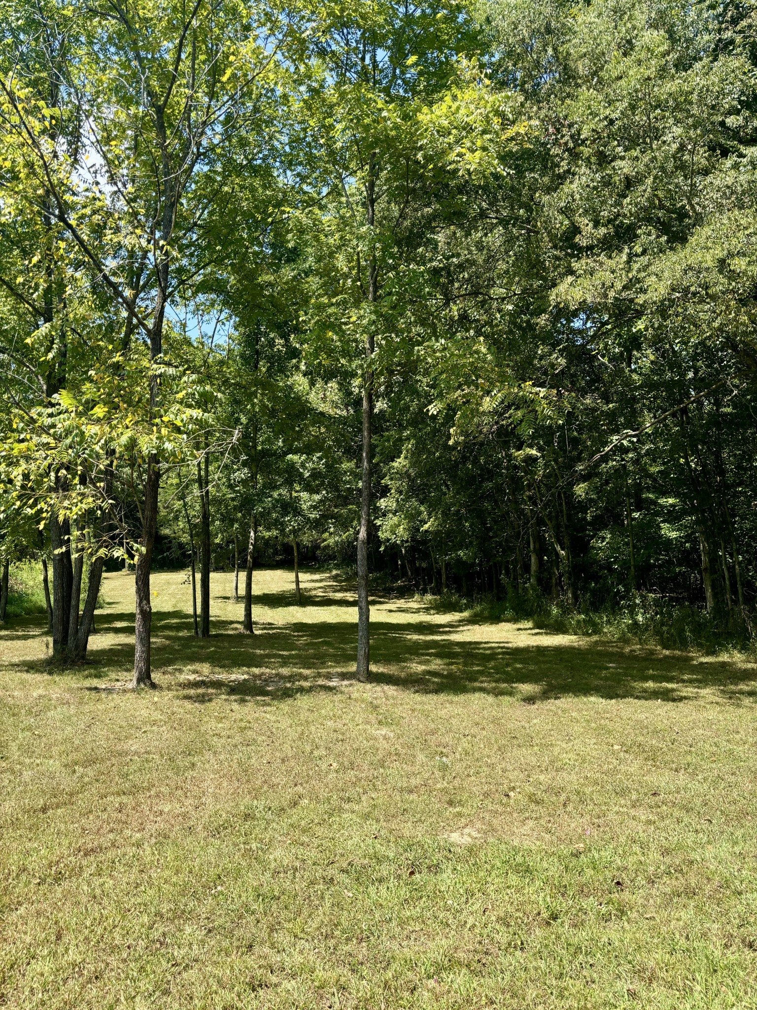 239 Arnold Ln