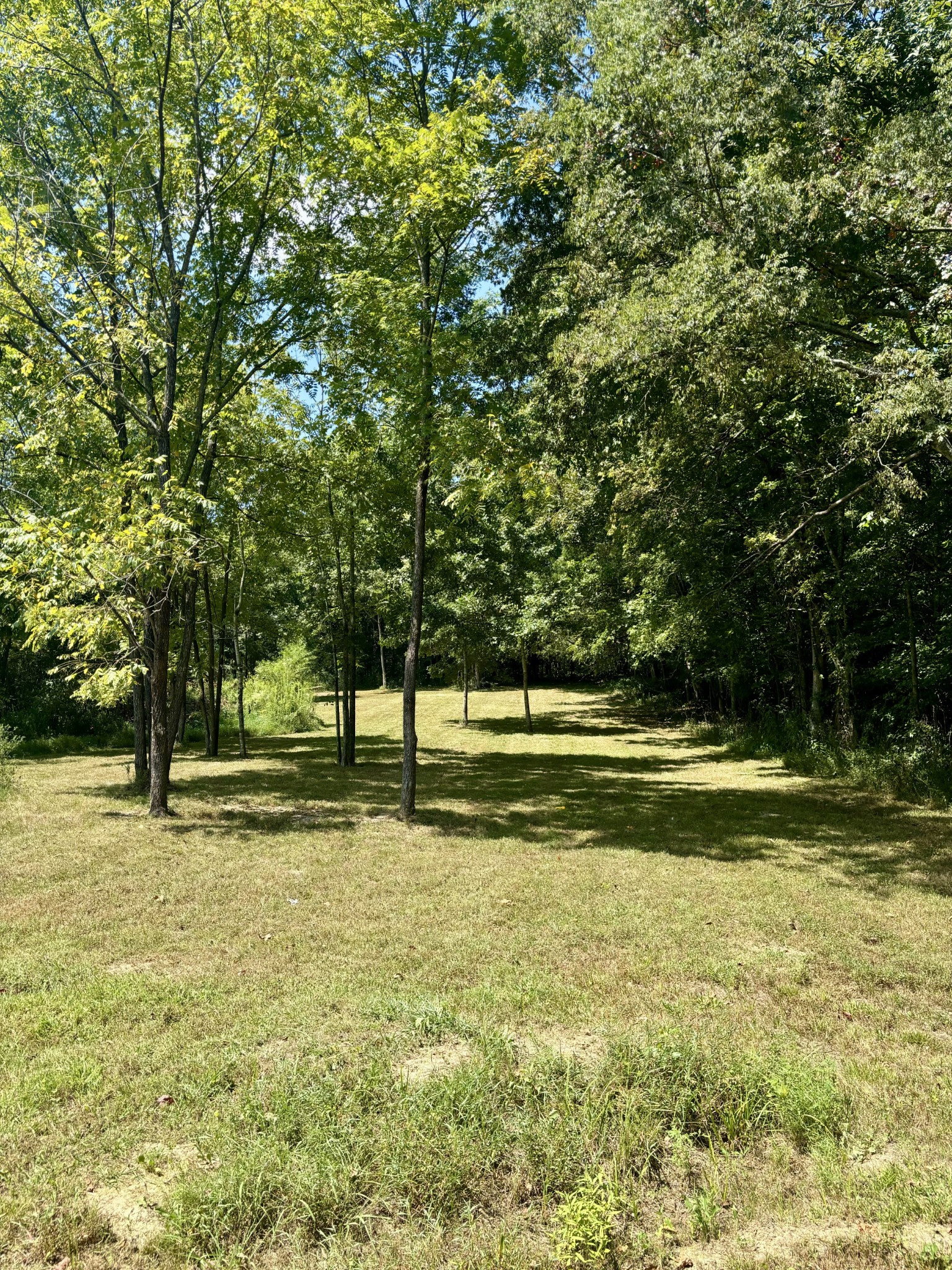239 Arnold Ln