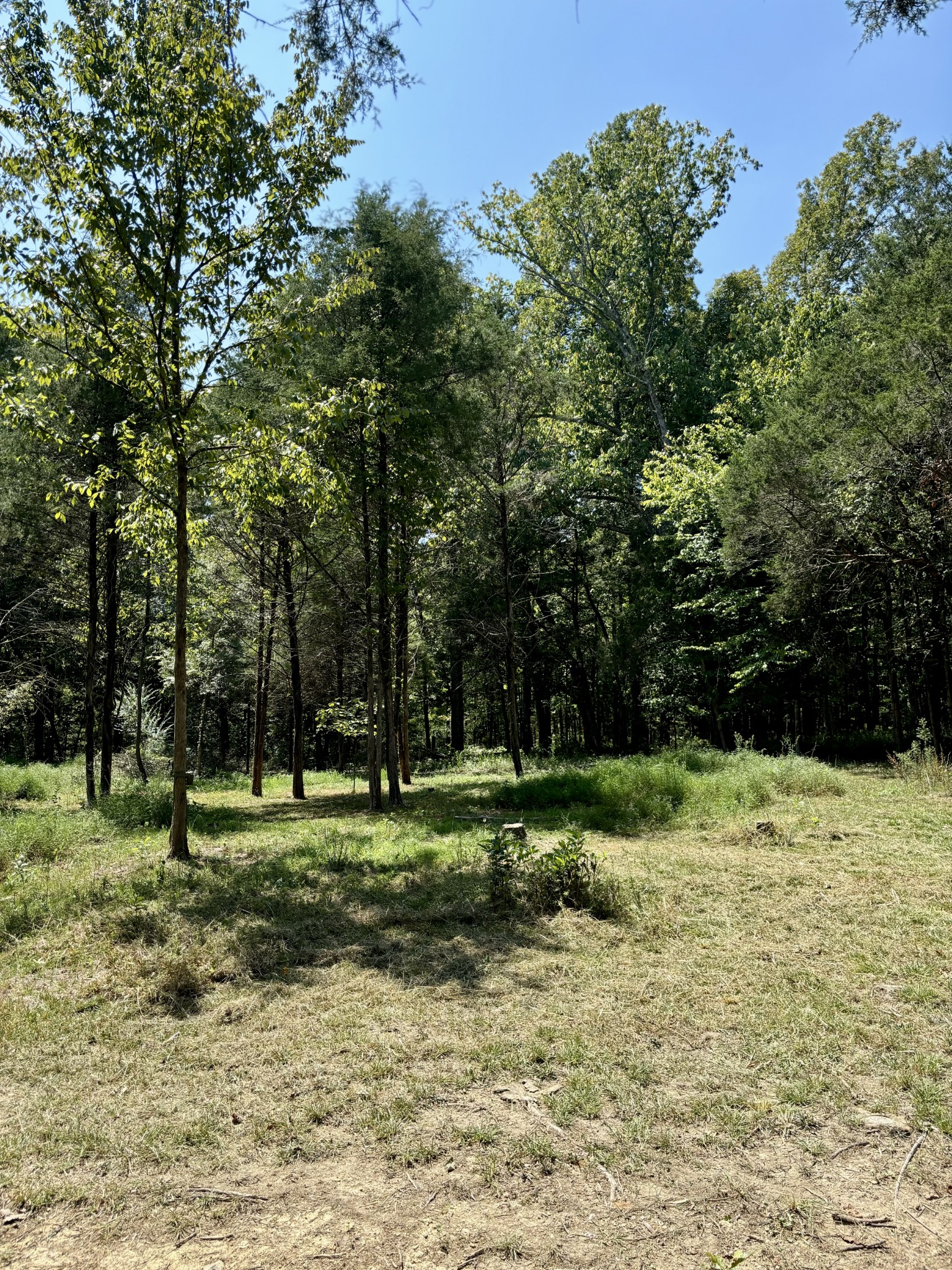 239 Arnold Ln