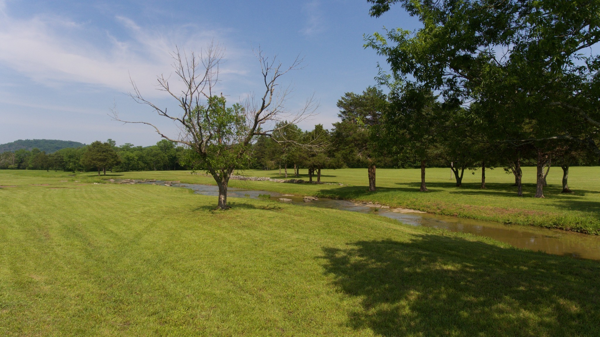 247 Edd Joyce Rd
