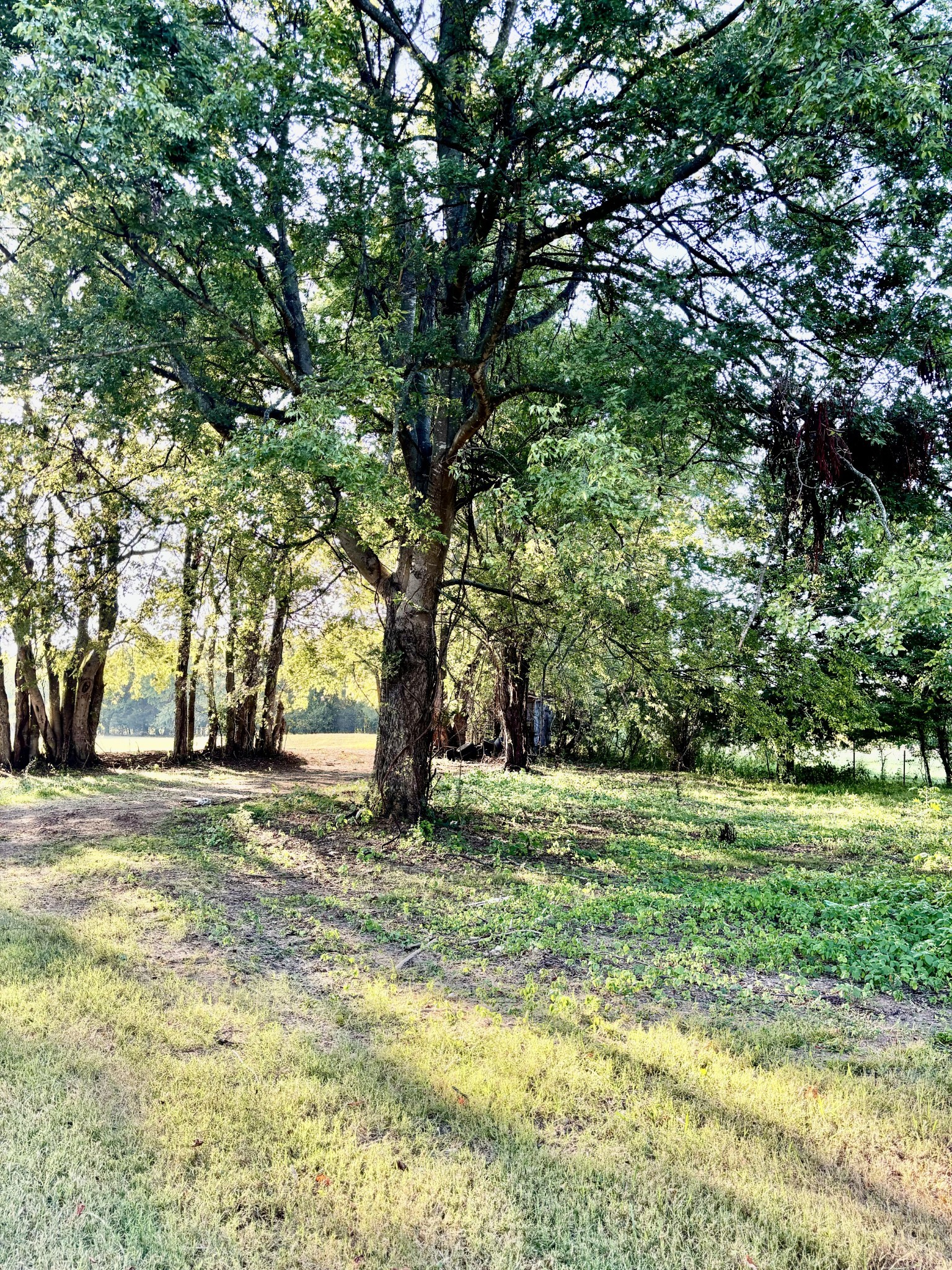 1818 Highway 130, W