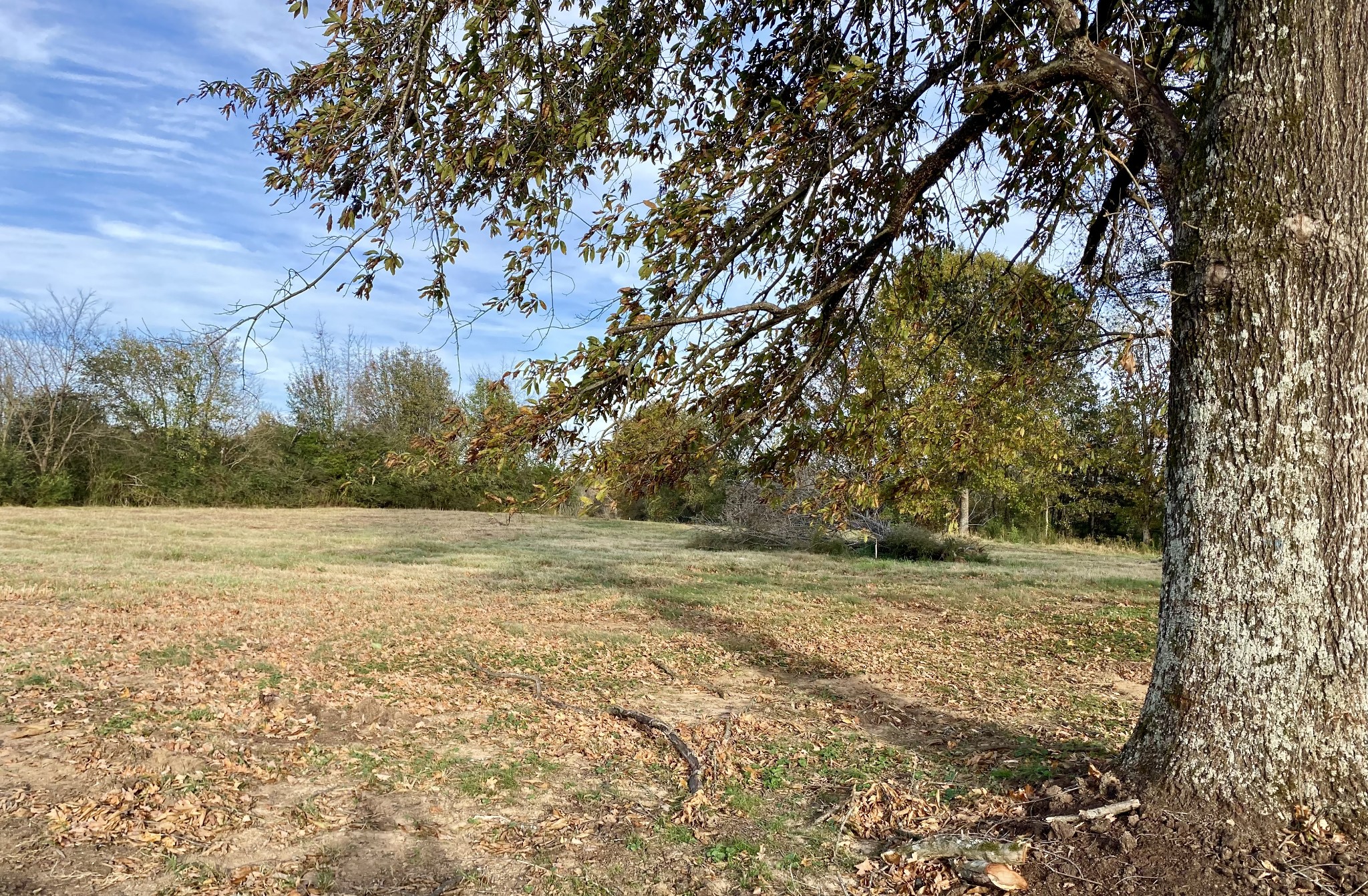 0 Verona Caney Road