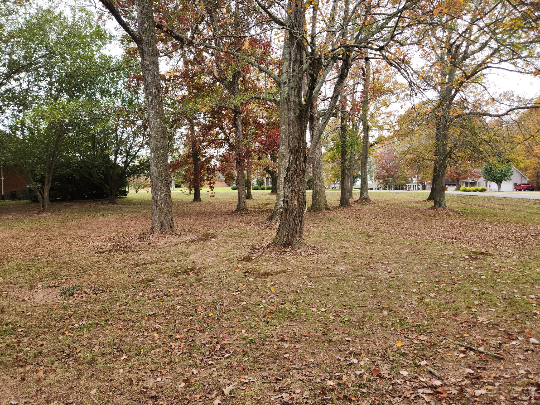 2004 Oakwood Dr