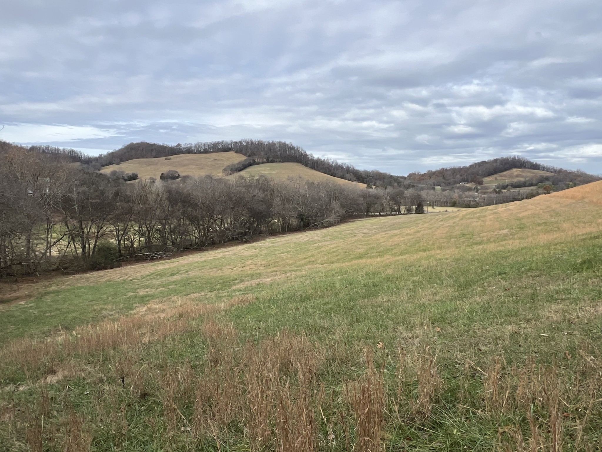 0 Highway 231, S