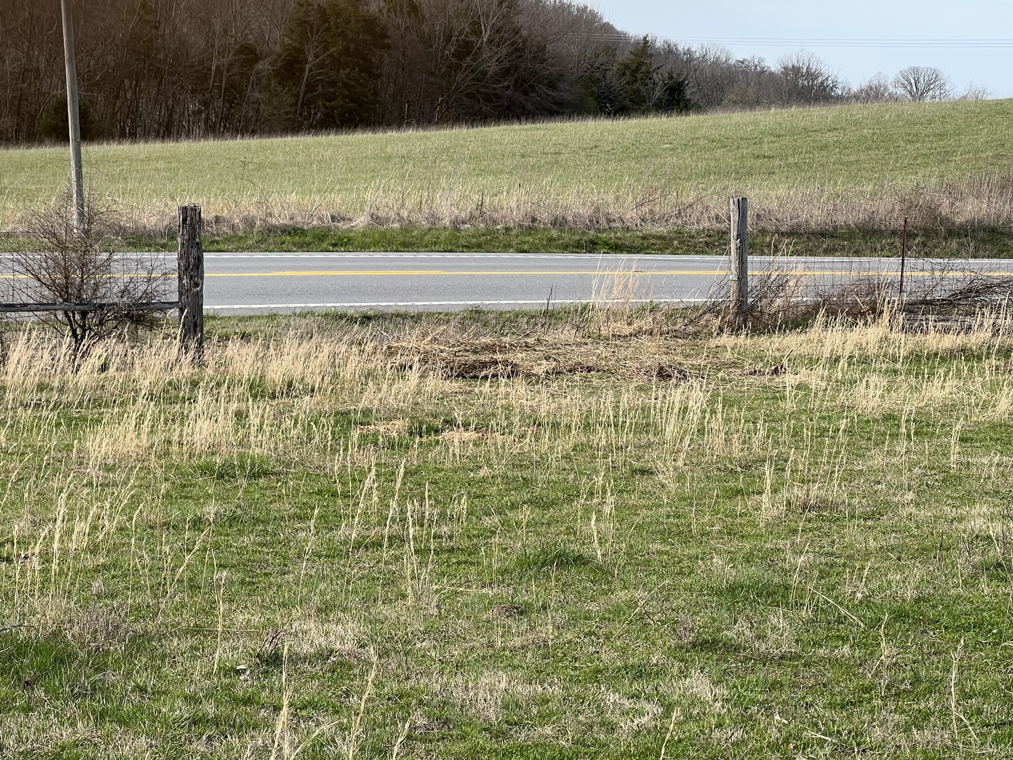 0 Highway 231, S