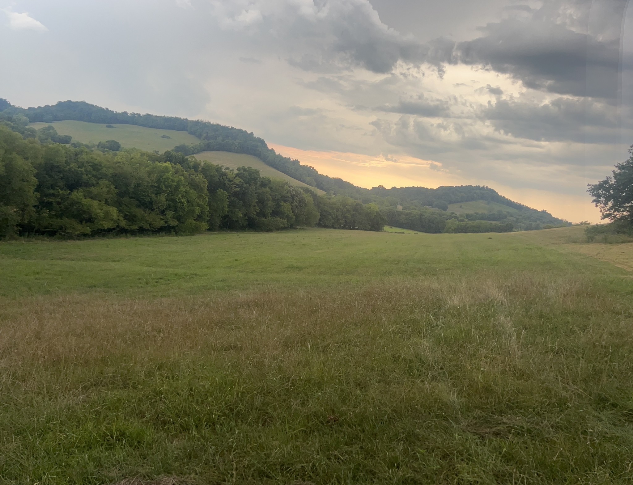 0 Highway 231, S